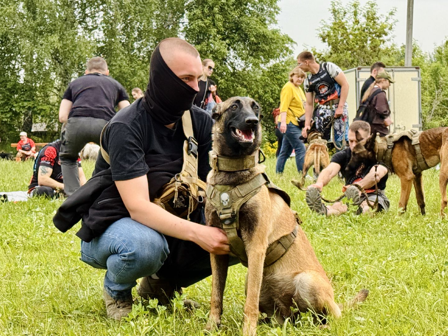 раменское, чулково,Russian Extreme Dog Trail, забег с собакой, забег с препятствиями,