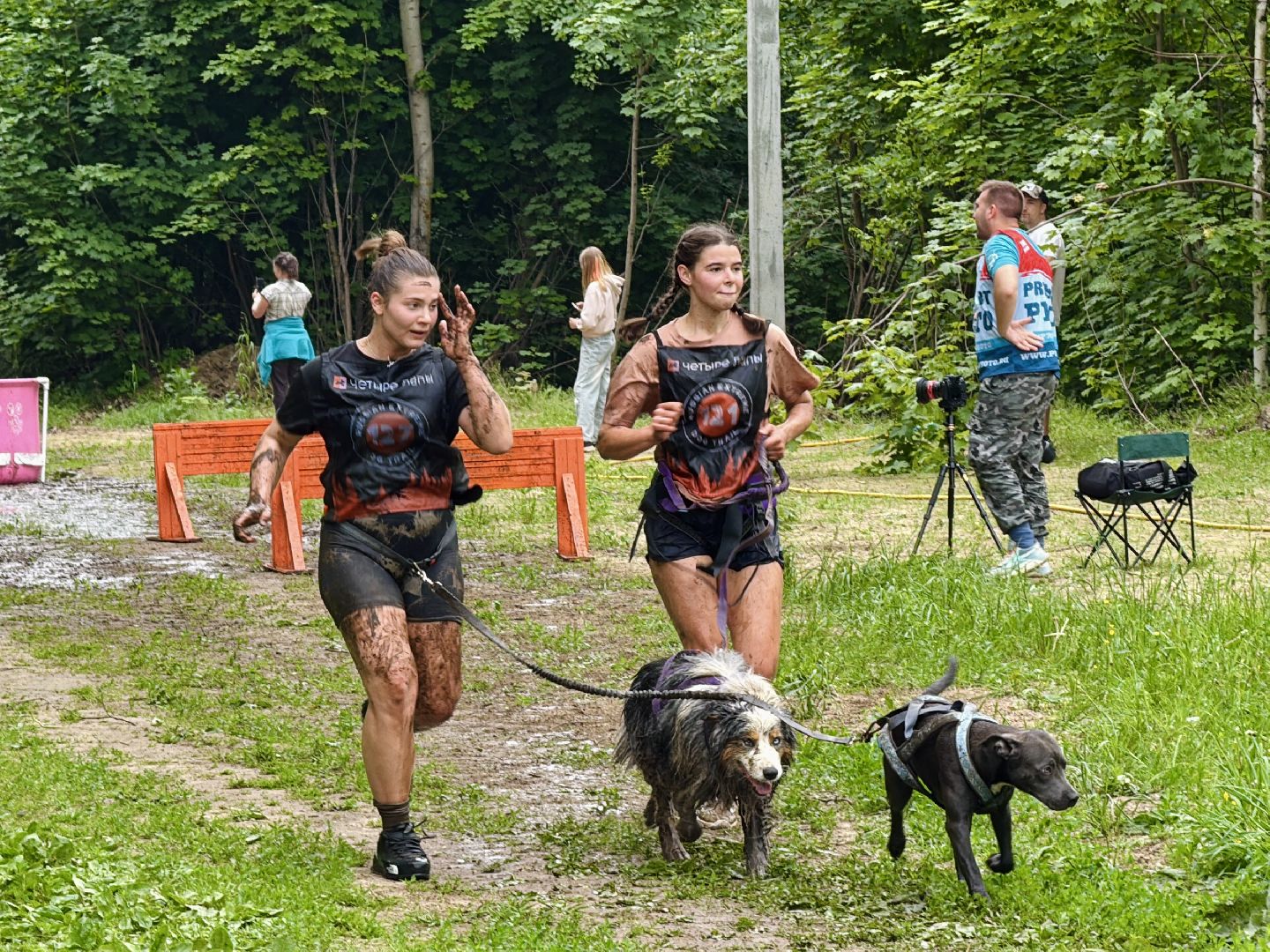 раменское, чулково,Russian Extreme Dog Trail, забег с собакой, забег с препятствиями,