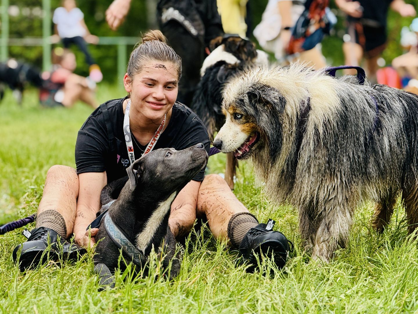раменское, чулково,Russian Extreme Dog Trail, забег с собакой, забег с препятствиями,
