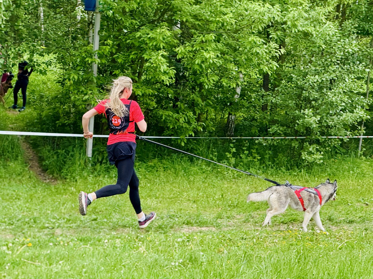 раменское, чулково,Russian Extreme Dog Trail, забег с собакой, забег с препятствиями,