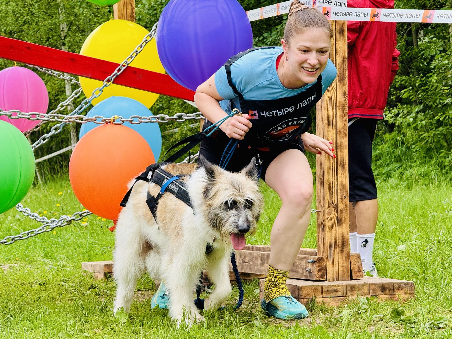 раменское, чулково,Russian Extreme Dog Trail, забег с собакой, забег с препятствиями,