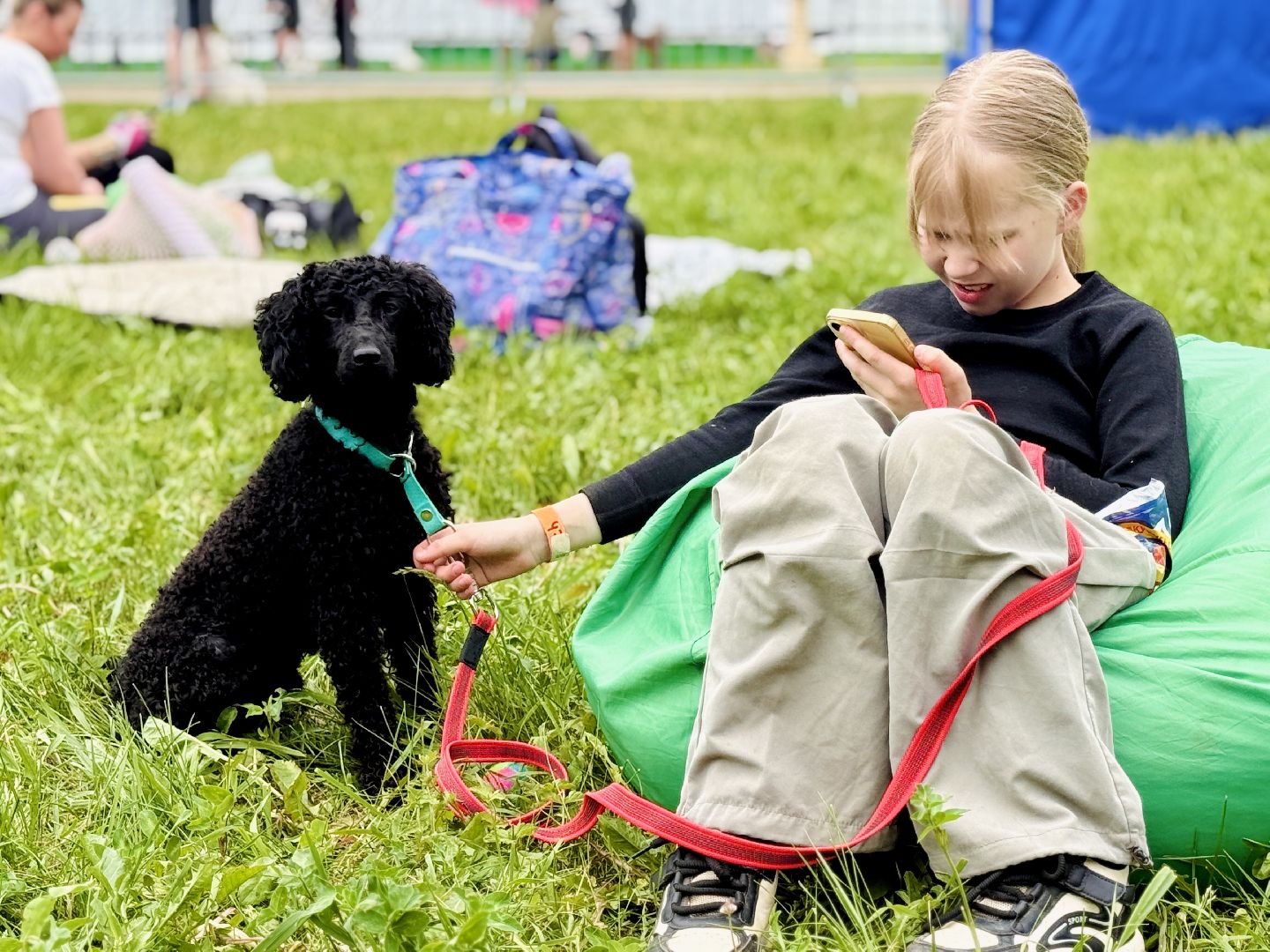 раменское, чулково,Russian Extreme Dog Trail, забег с собакой, забег с препятствиями,
