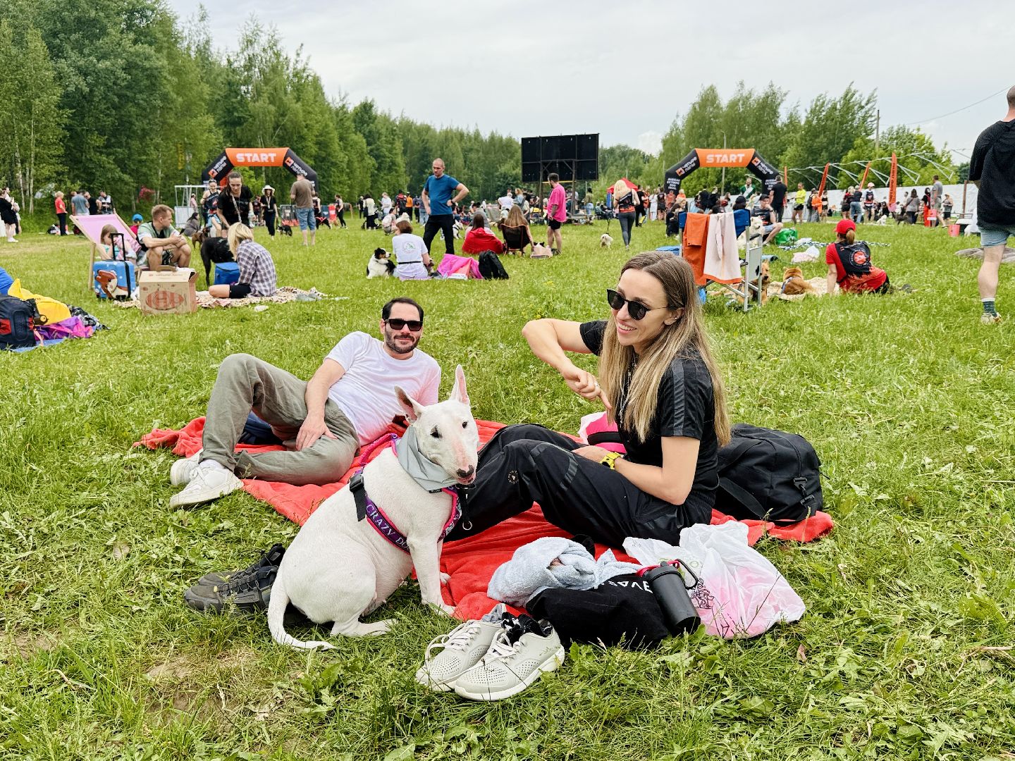 раменское, чулково,Russian Extreme Dog Trail, забег с собакой, забег с препятствиями,