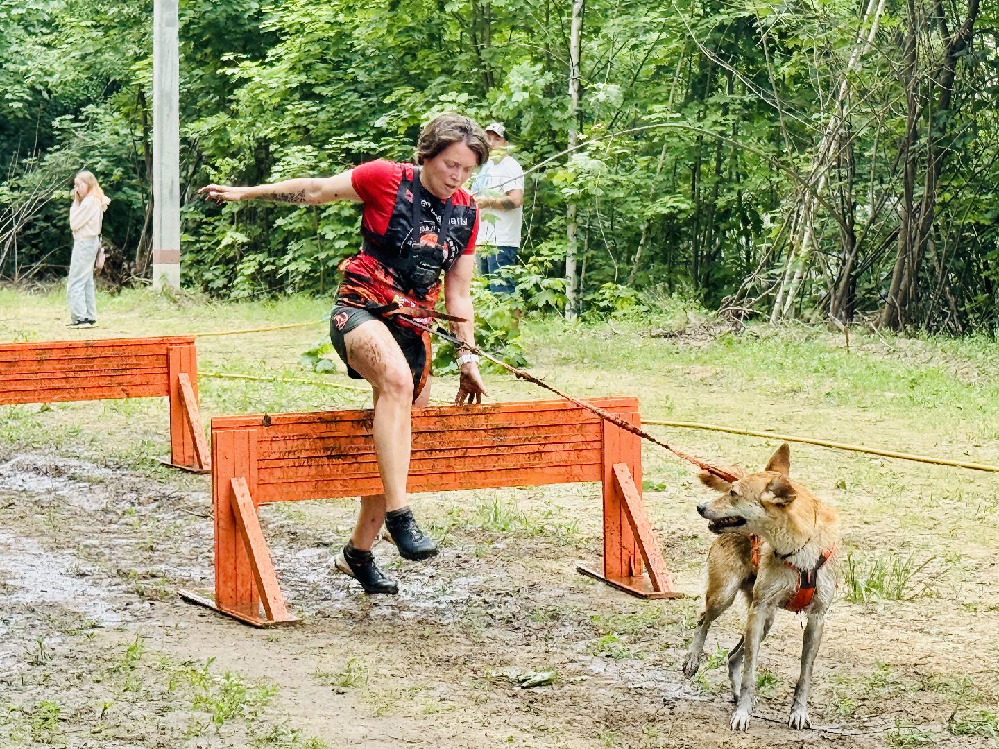 раменское, чулково,Russian Extreme Dog Trail, забег с собакой, забег с препятствиями,