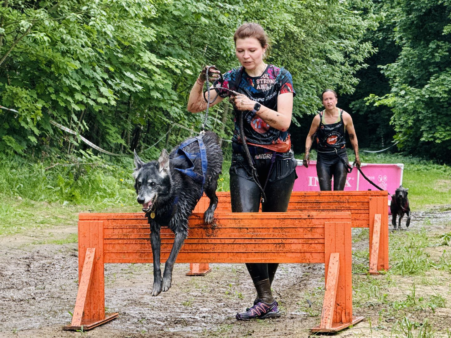 раменское, чулково,Russian Extreme Dog Trail, забег с собакой, забег с препятствиями,