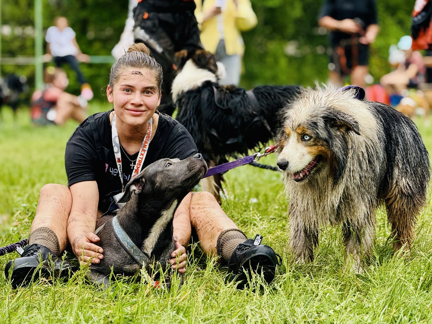 раменское, чулково,Russian Extreme Dog Trail, забег с собакой, забег с препятствиями,
