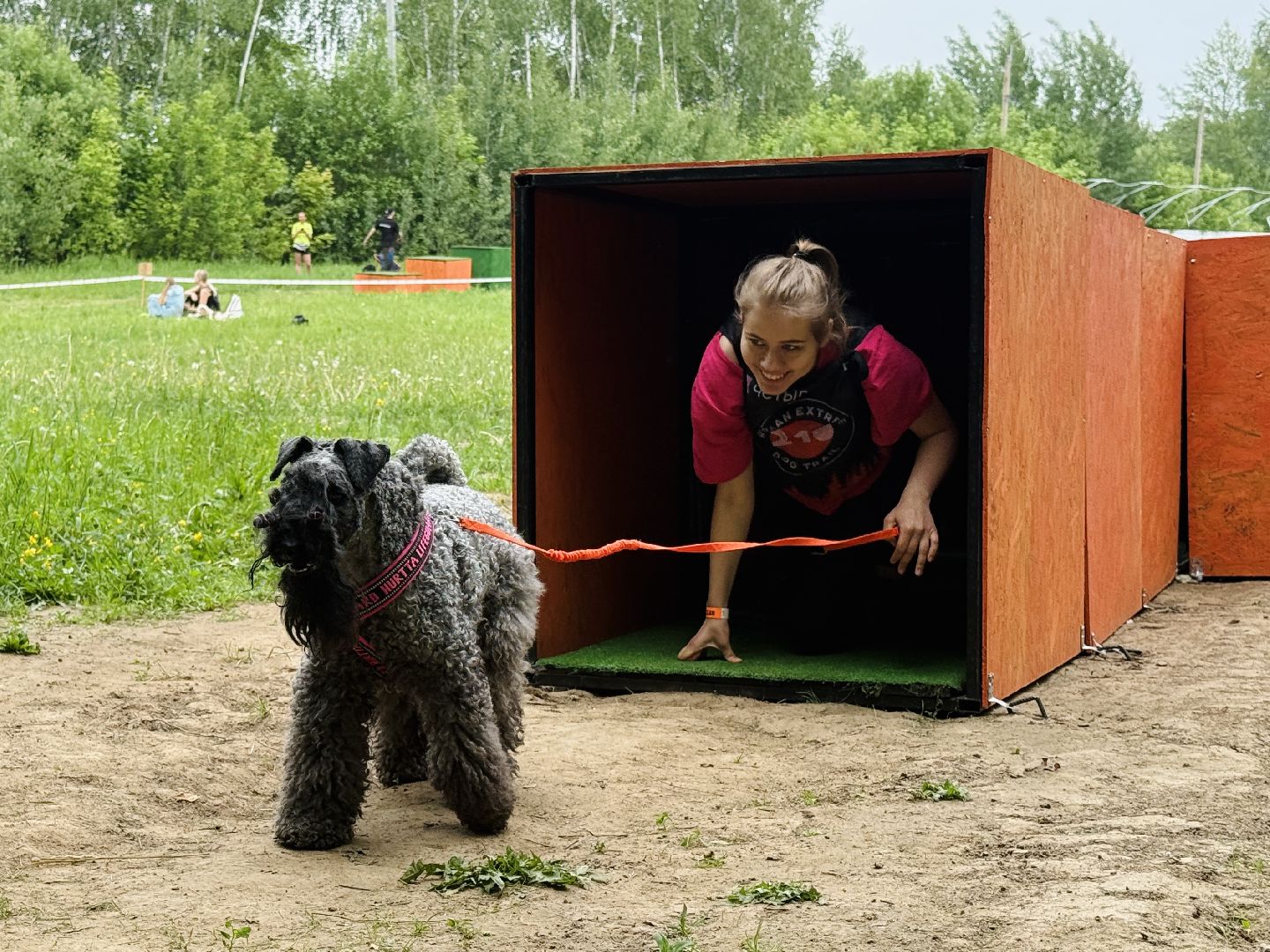 раменское, чулково,Russian Extreme Dog Trail, забег с собакой, забег с препятствиями,