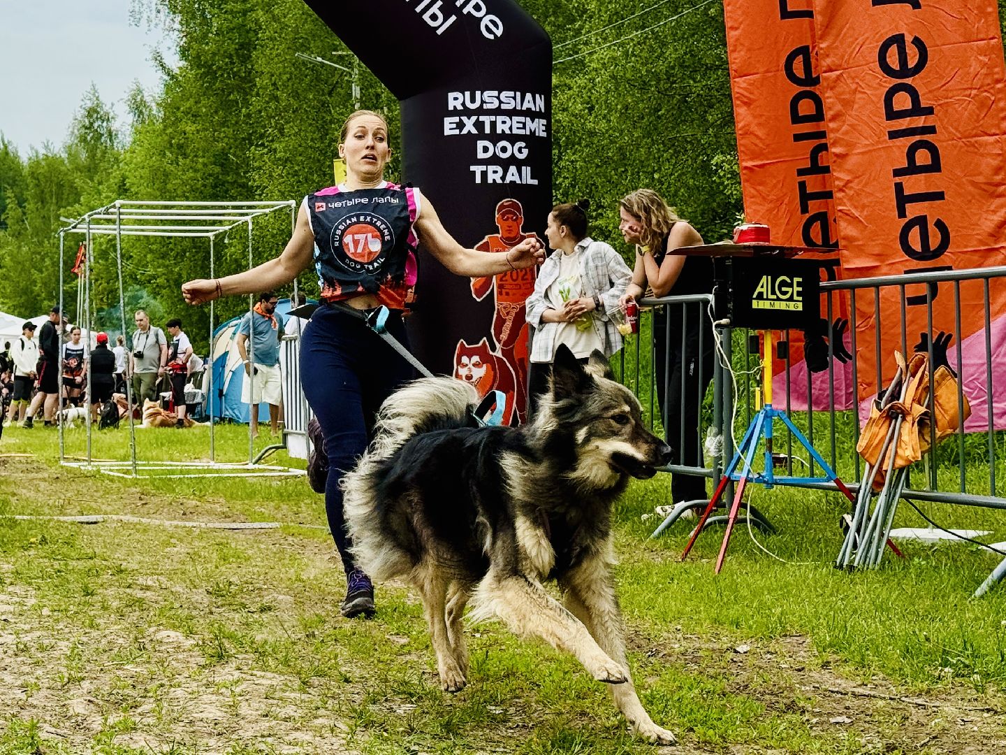 раменское, чулково,Russian Extreme Dog Trail, забег с собакой, забег с препятствиями,