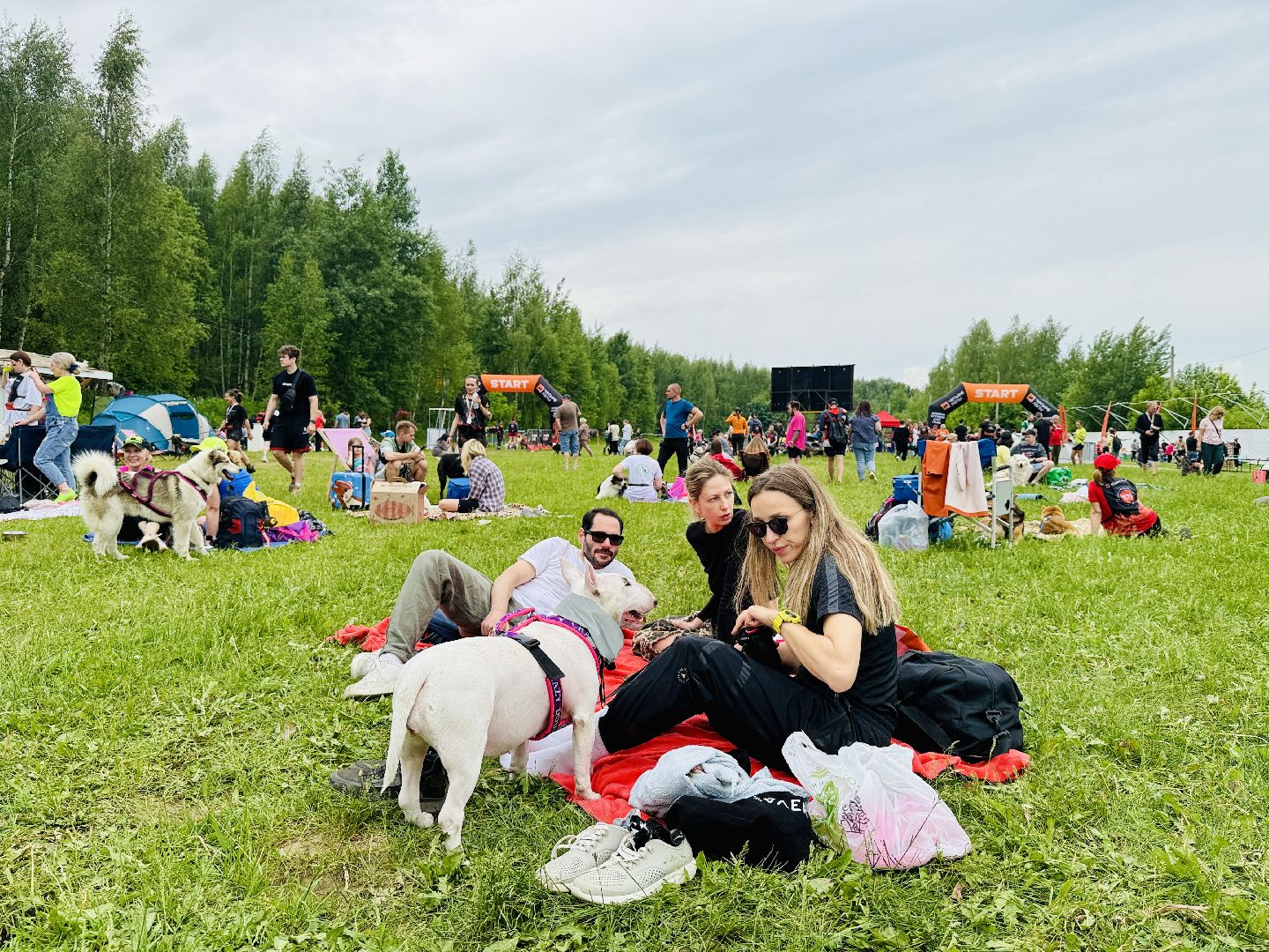 раменское, чулково,Russian Extreme Dog Trail, забег с собакой, забег с препятствиями,