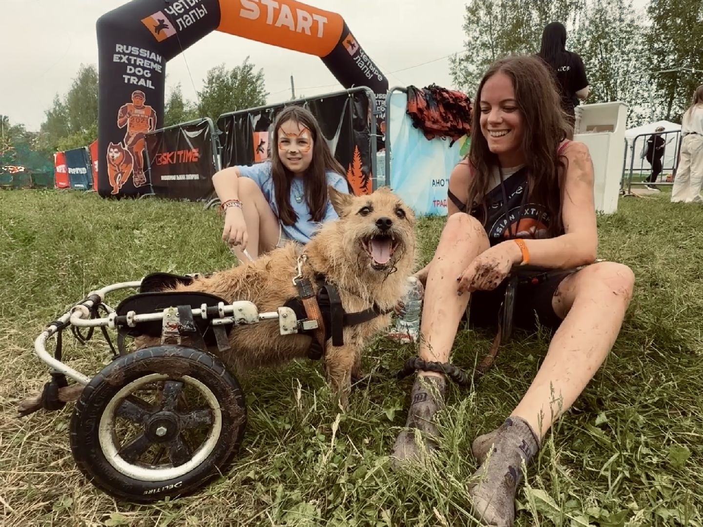 раменское , чулково , Russian Extreme Dog Trail, забег с собакой, забег с препятствиями,