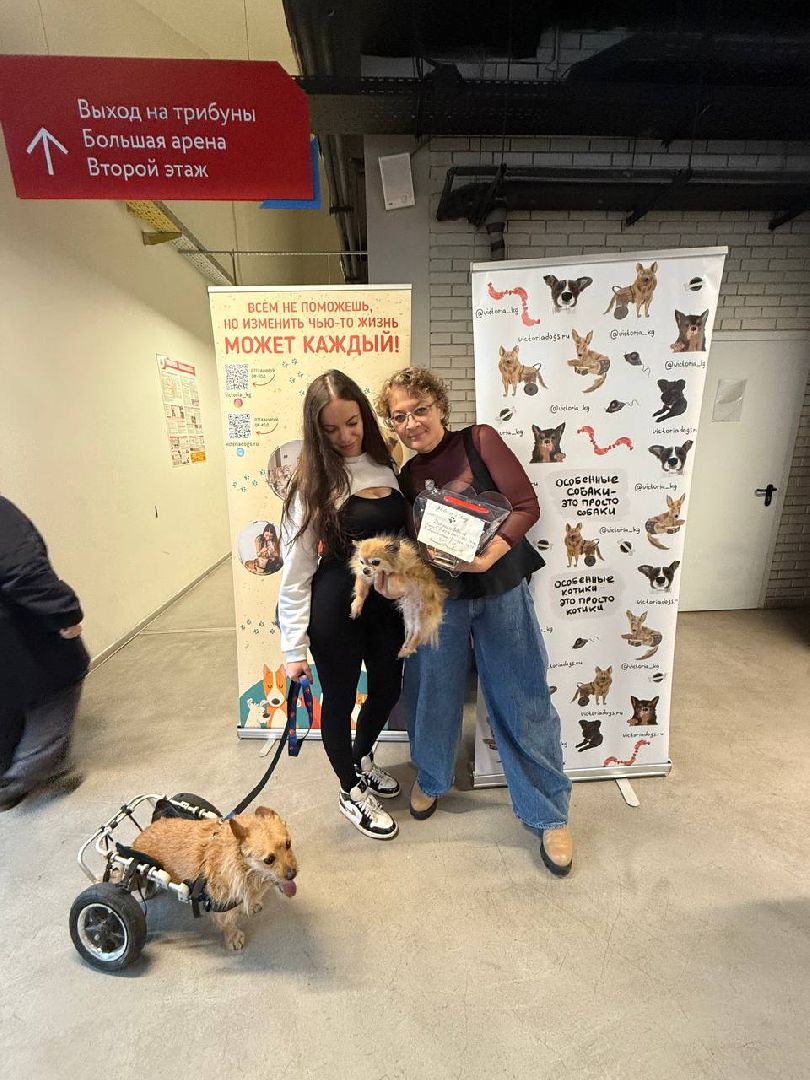 раменское , чулково , Russian Extreme Dog Trail, забег с собакой, забег с препятствиями,