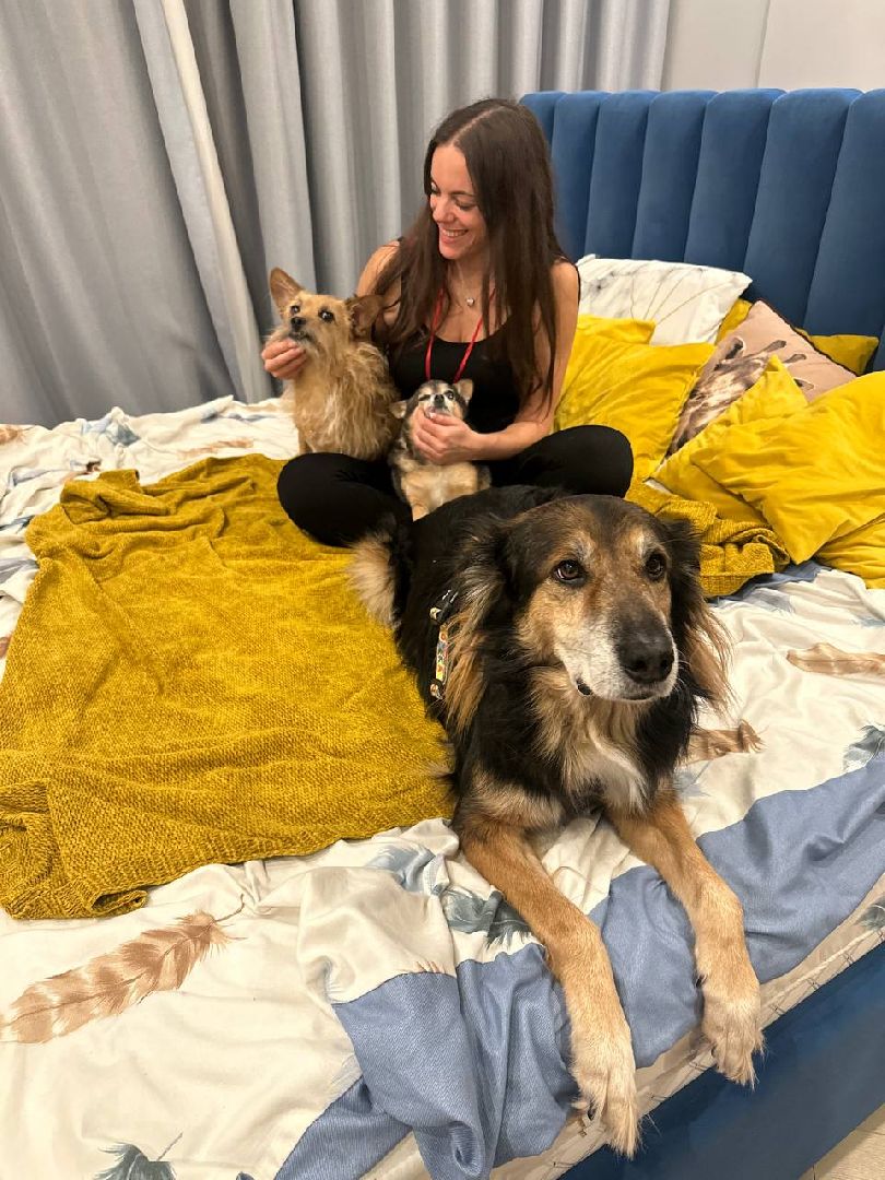 раменское , чулково , Russian Extreme Dog Trail, забег с собакой, забег с препятствиями,