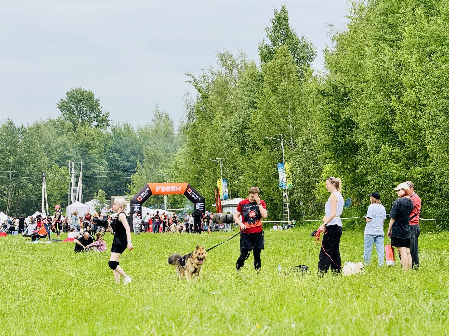 раменское , чулково , Russian Extreme Dog Trail, забег с собакой, забег с препятствиями,