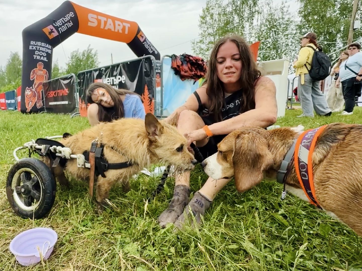 раменское , чулково , Russian Extreme Dog Trail, забег с собакой, забег с препятствиями,