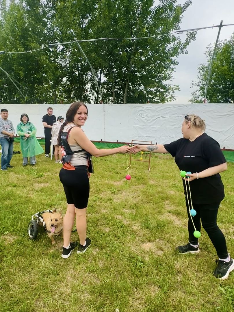 раменское , чулково , Russian Extreme Dog Trail, забег с собакой, забег с препятствиями,