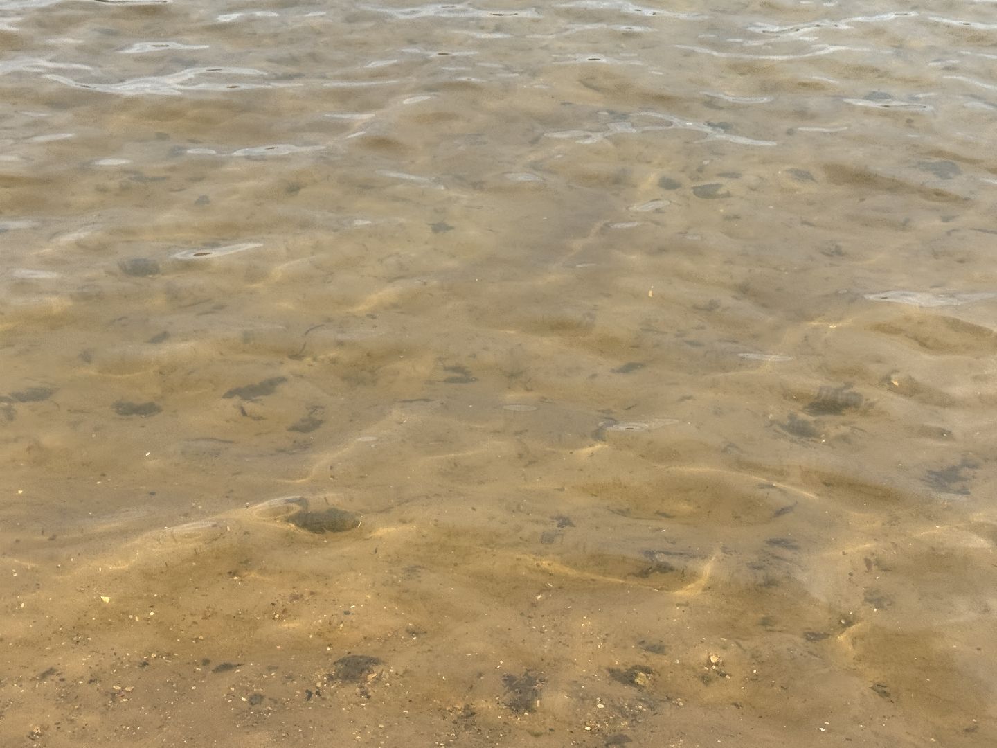 Безопасность на воде, Красногорск, Спасатели,