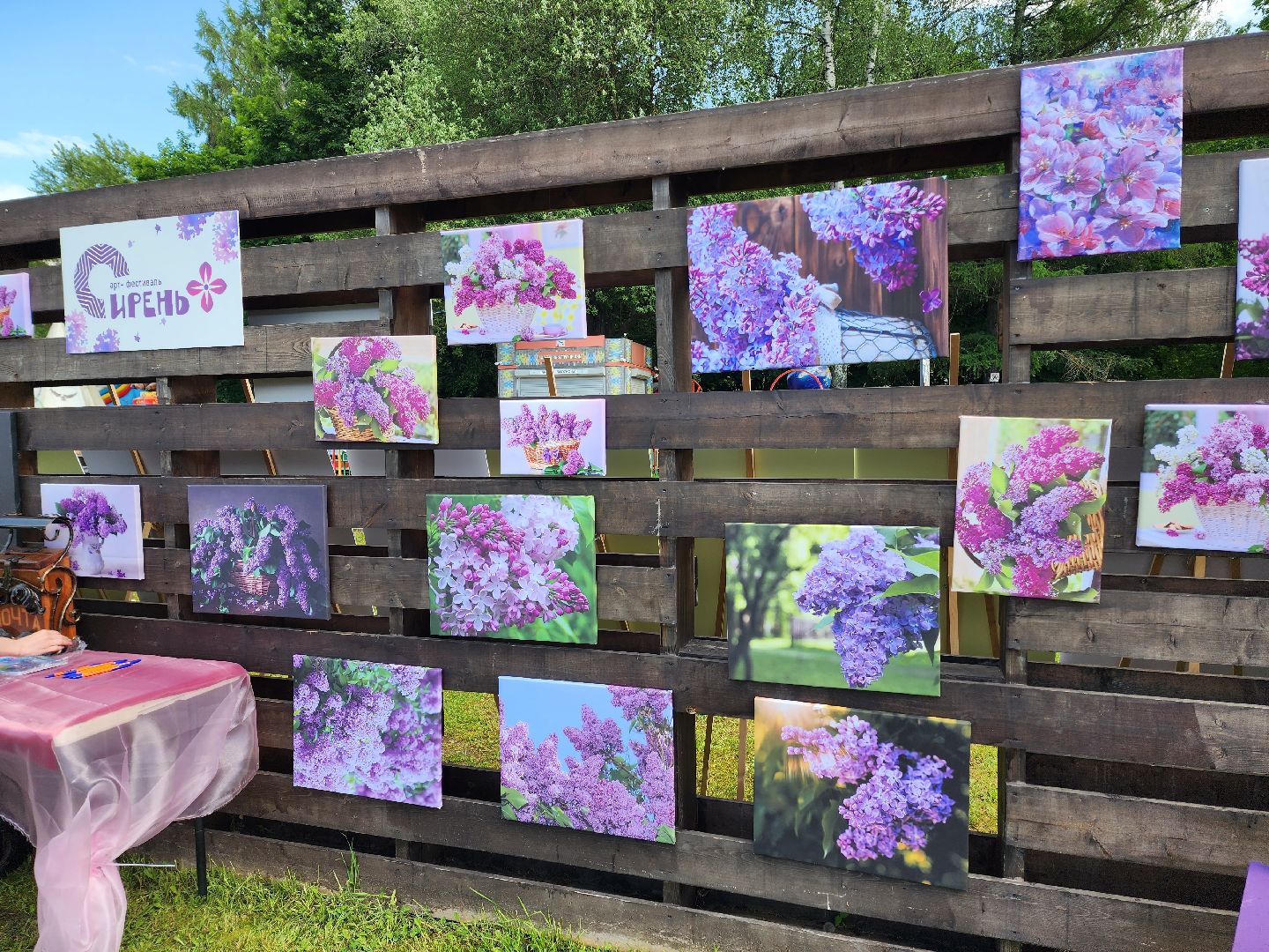 солнечногорск, сирень, жители, фестиваль, праздник,