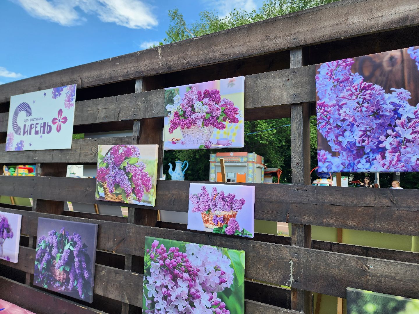 солнечногорск, сирень, жители, фестиваль, праздник,