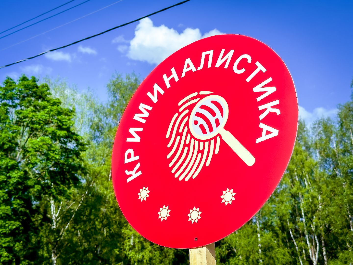 клин, общество, профессии, город мастеров, дети, лето в подмосковье,