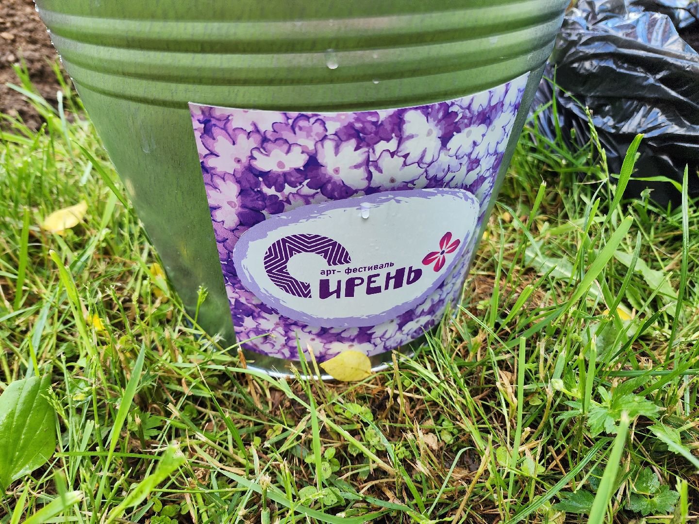 солнечногорск, праздник сирени, высадка сирени, жители, городской парк,