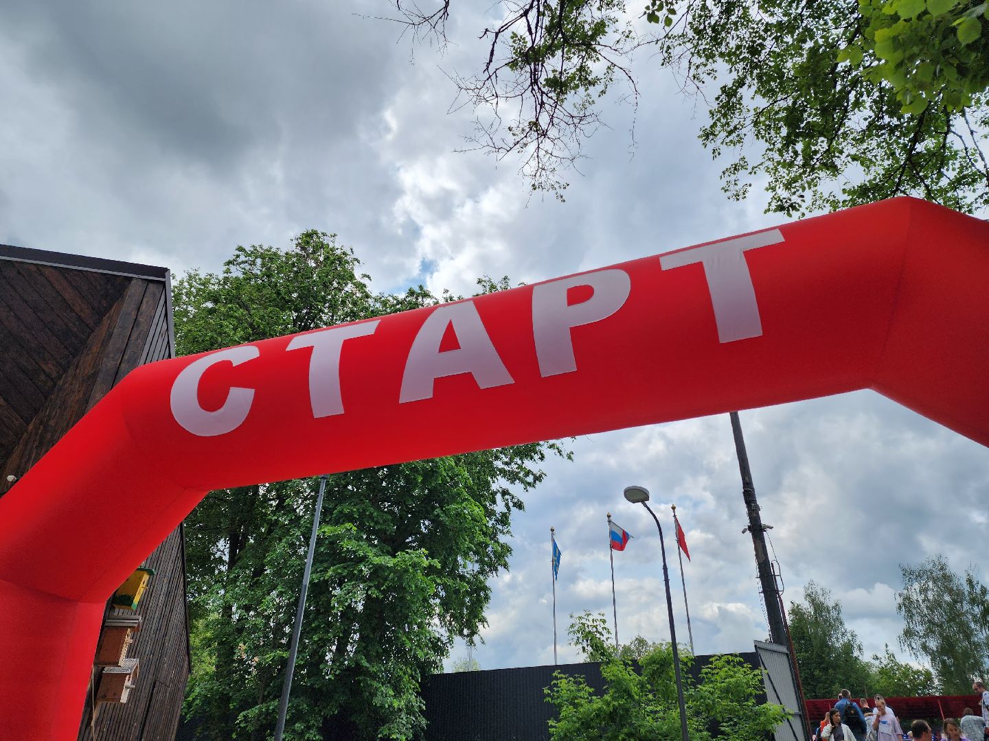 солнечногорск, спорт , жители , бег, благотворительность,