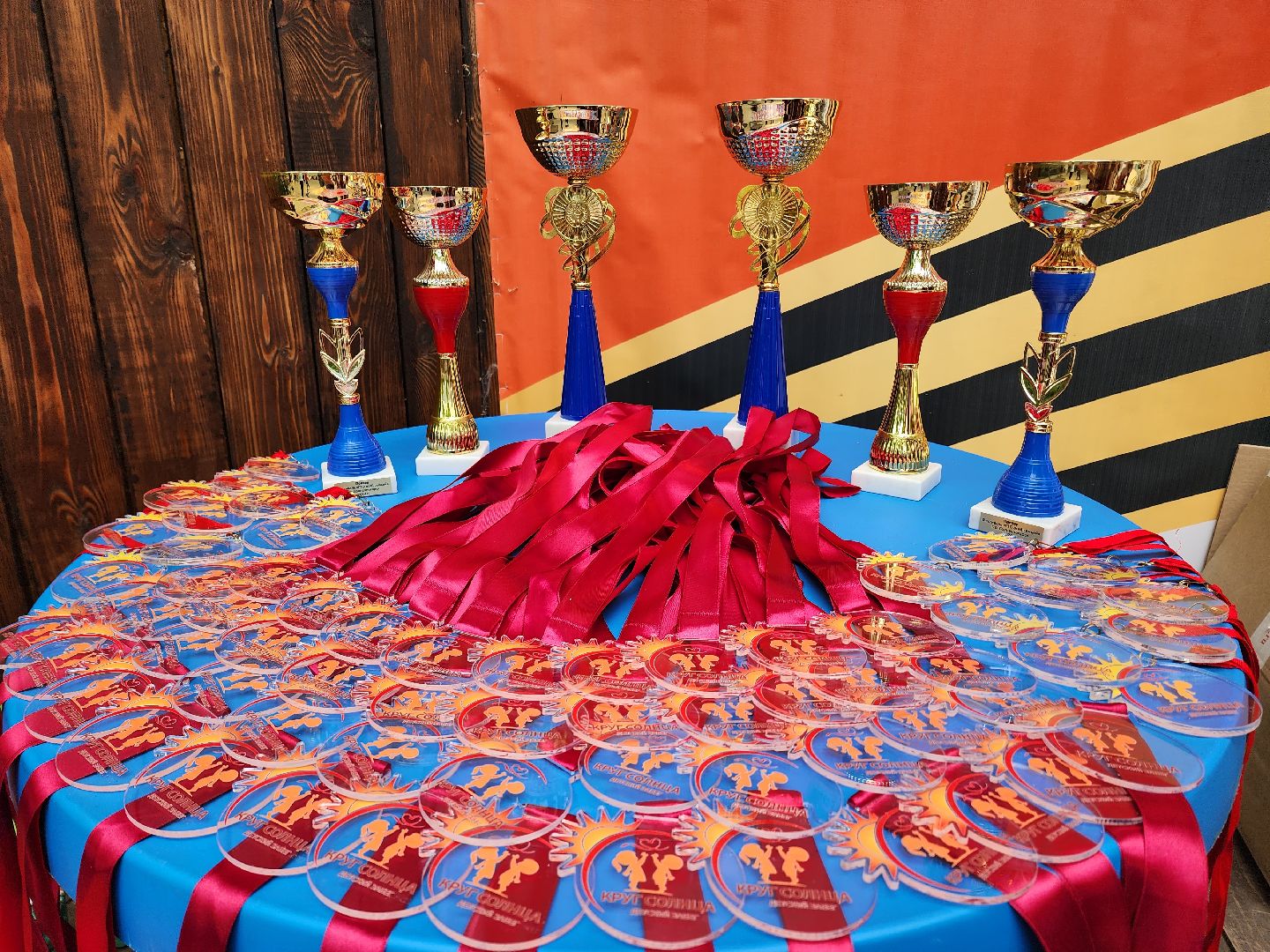 солнечногорск, спорт , жители , бег, благотворительность,