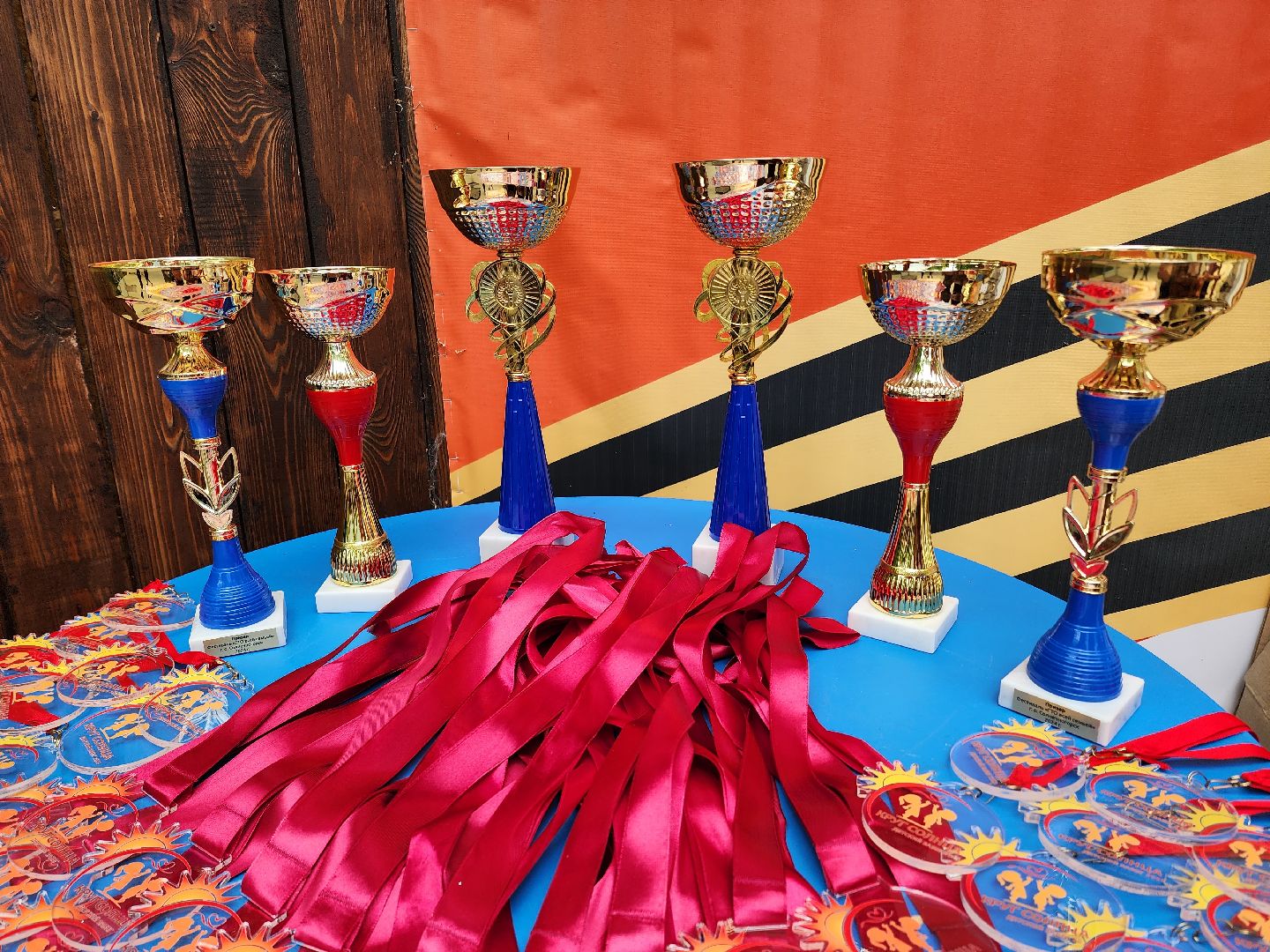 солнечногорск, спорт , жители , бег, благотворительность,