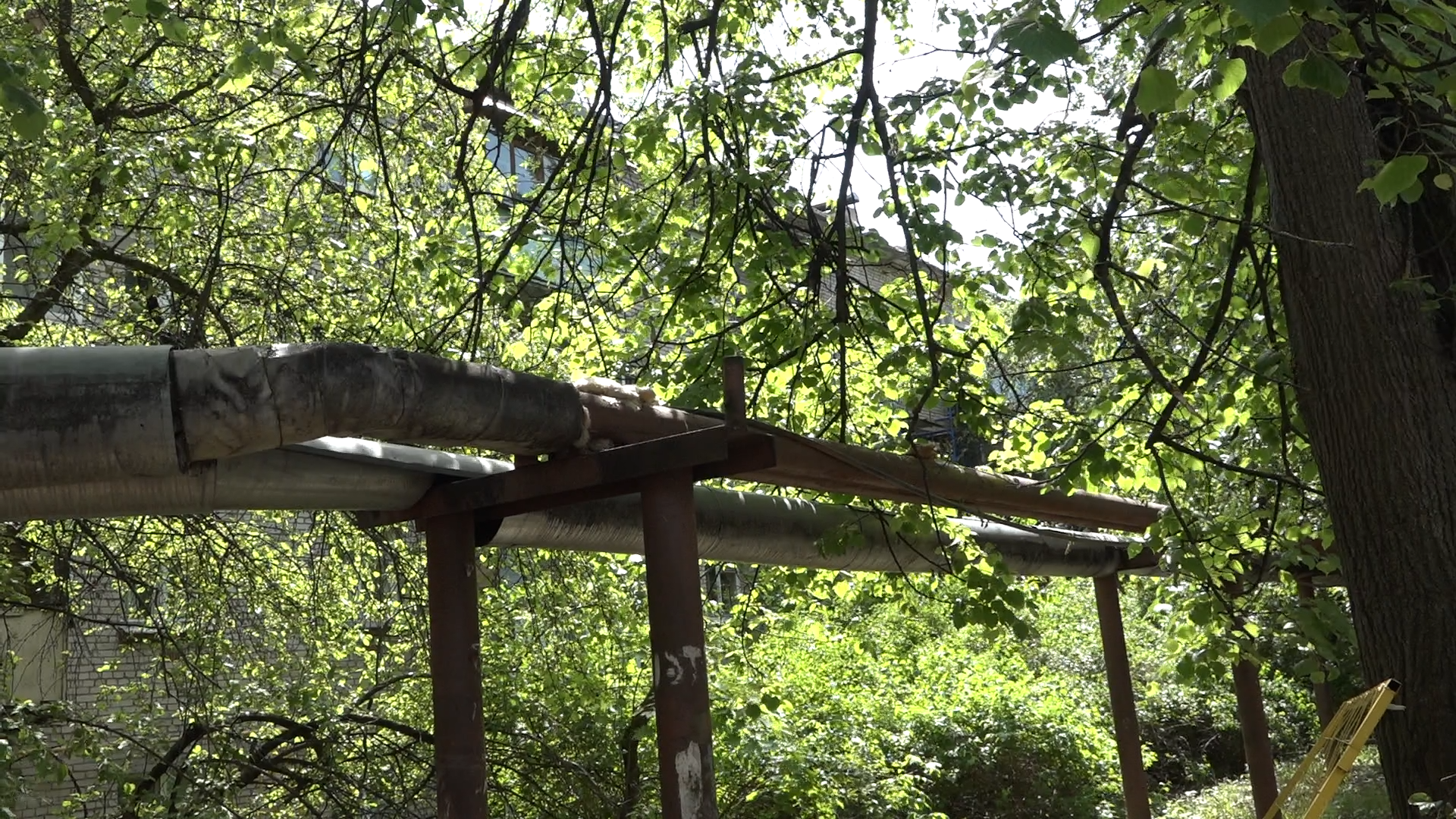 капремонт дома, капремонт дома власиха, власиха фкр мо, старый жилой фонд, ремонт мкд,