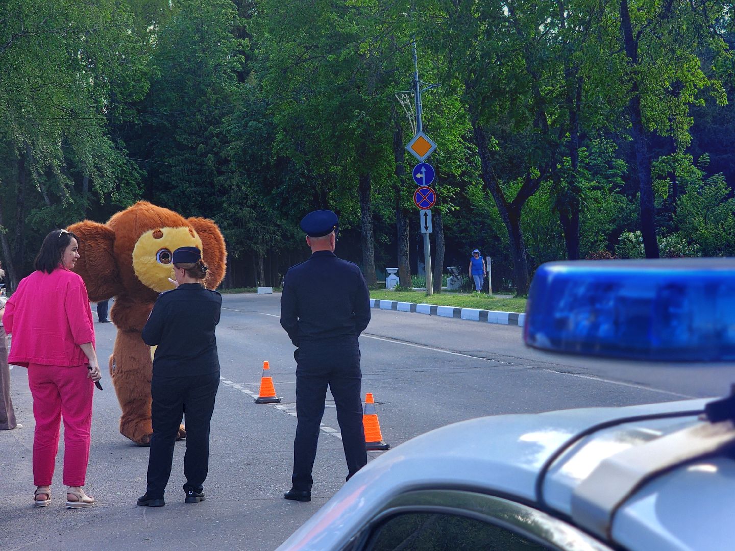 дубна, госавтоинспекция, рейд, день защиты детей,