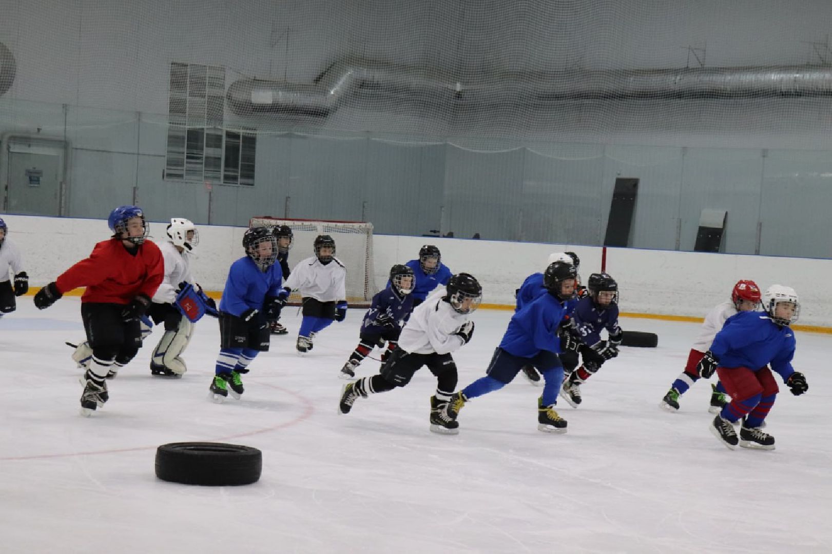 шаховская, хоккей, хоккей для детей,