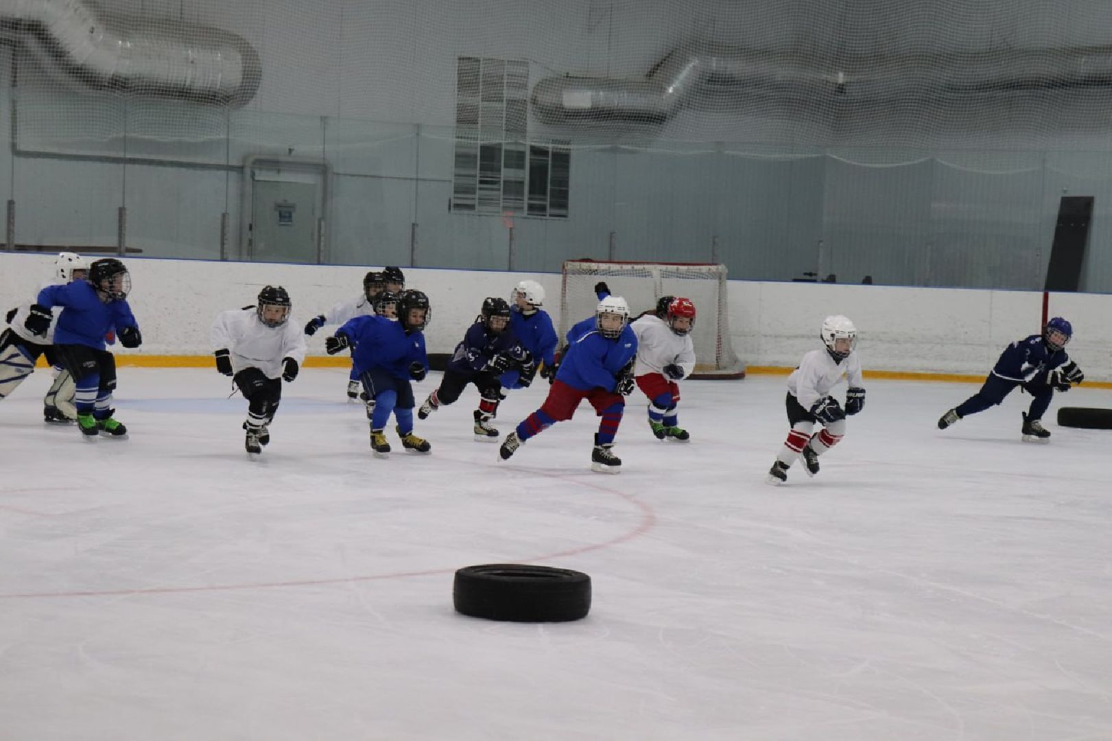 шаховская, хоккей, хоккей для детей,