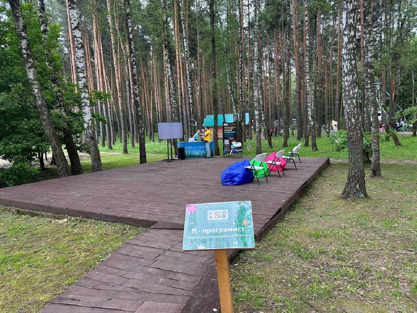 кибербезопасность, домодедово, лекция, парки,