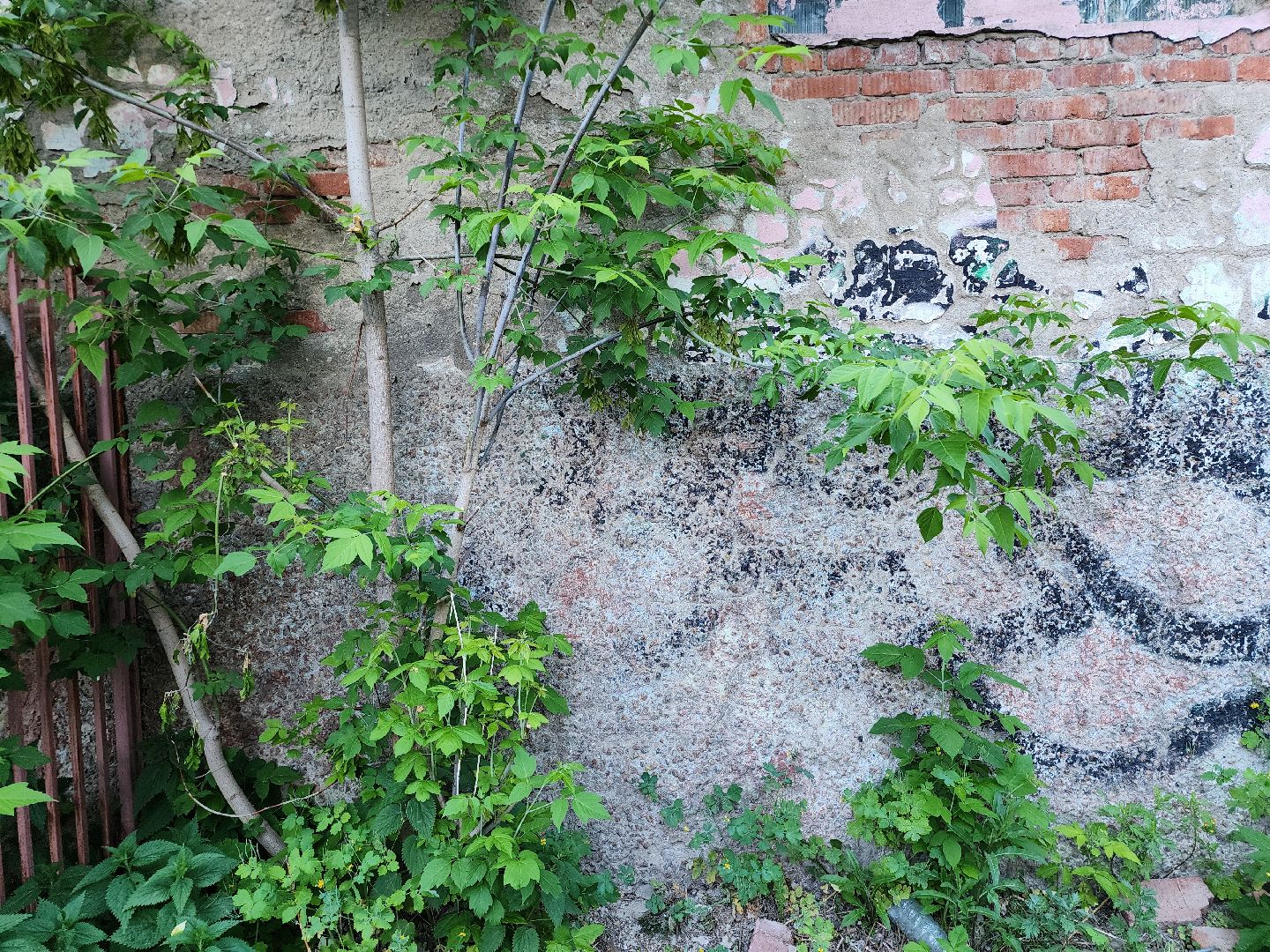 выездная администрация, обращение жителей, исторический облик города, старая купавна, богородский городской округ,