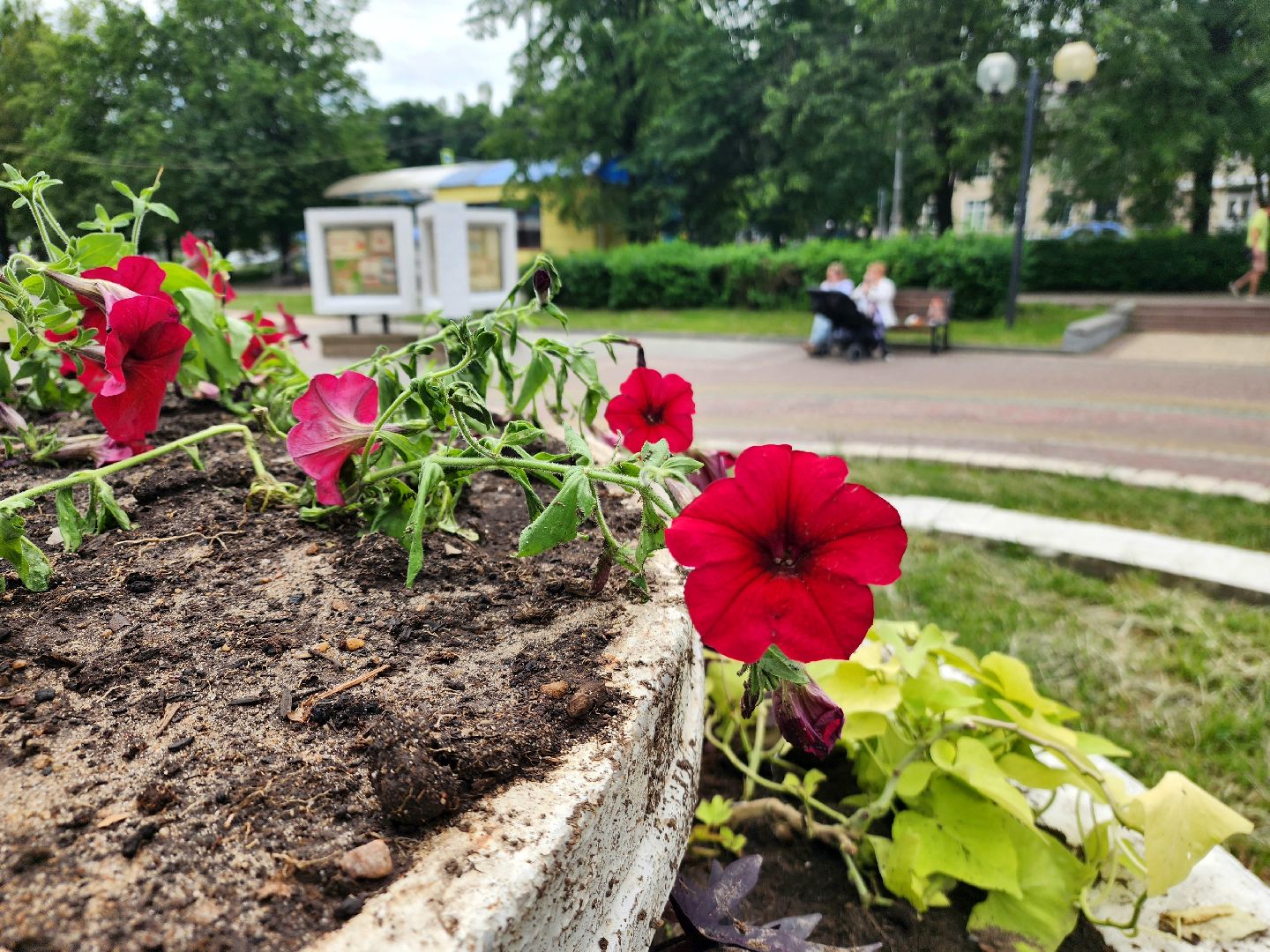 пущино, серпухов, благоустройство,