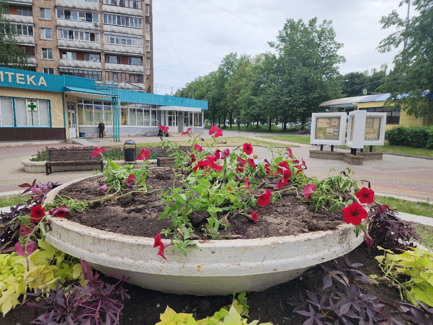 пущино, серпухов, благоустройство,