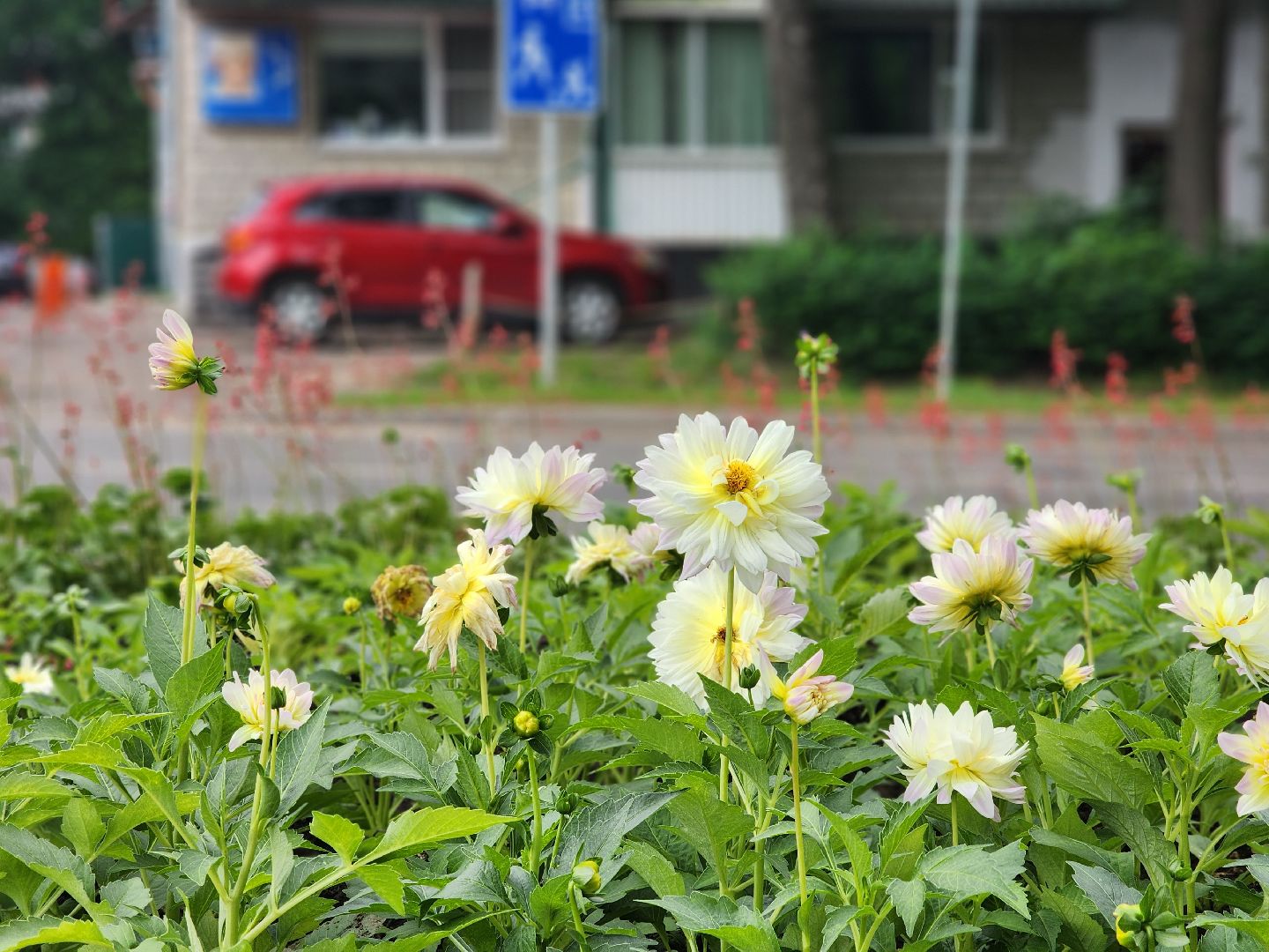 пущино, серпухов, благоустройство,