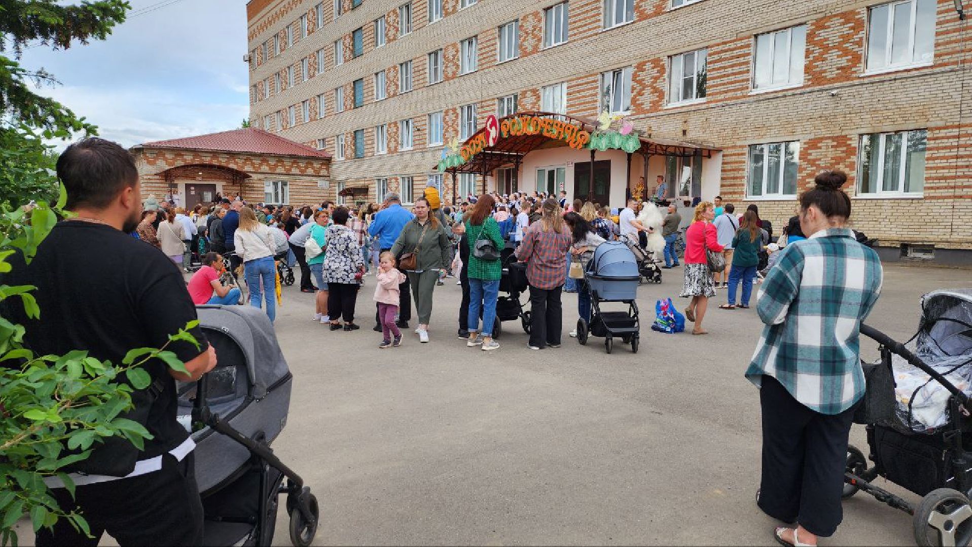 Дмитров, Дом рождения, День защиты детей, Минздрав,