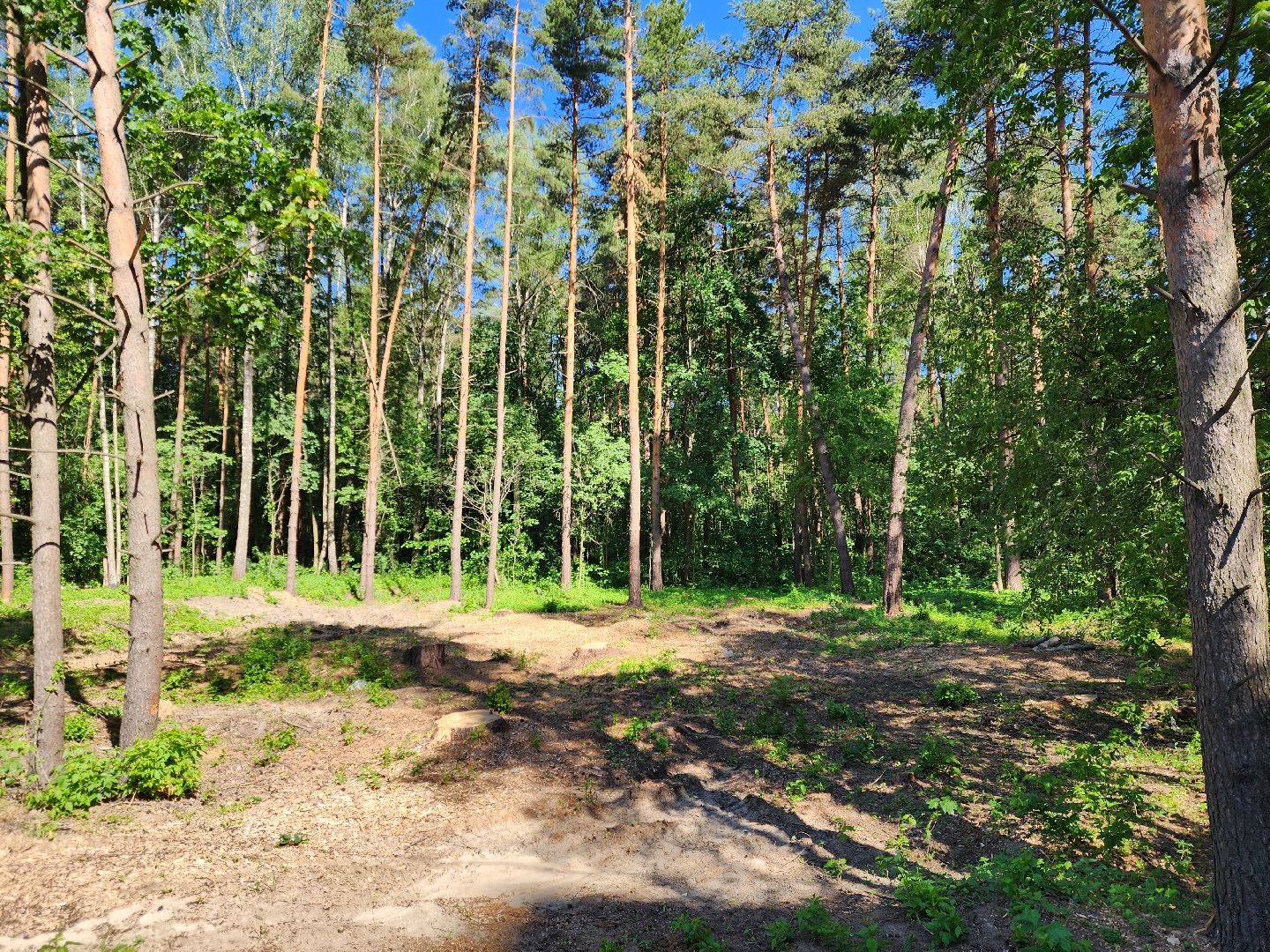 ногинск,  общество, строительство, храм, жители,