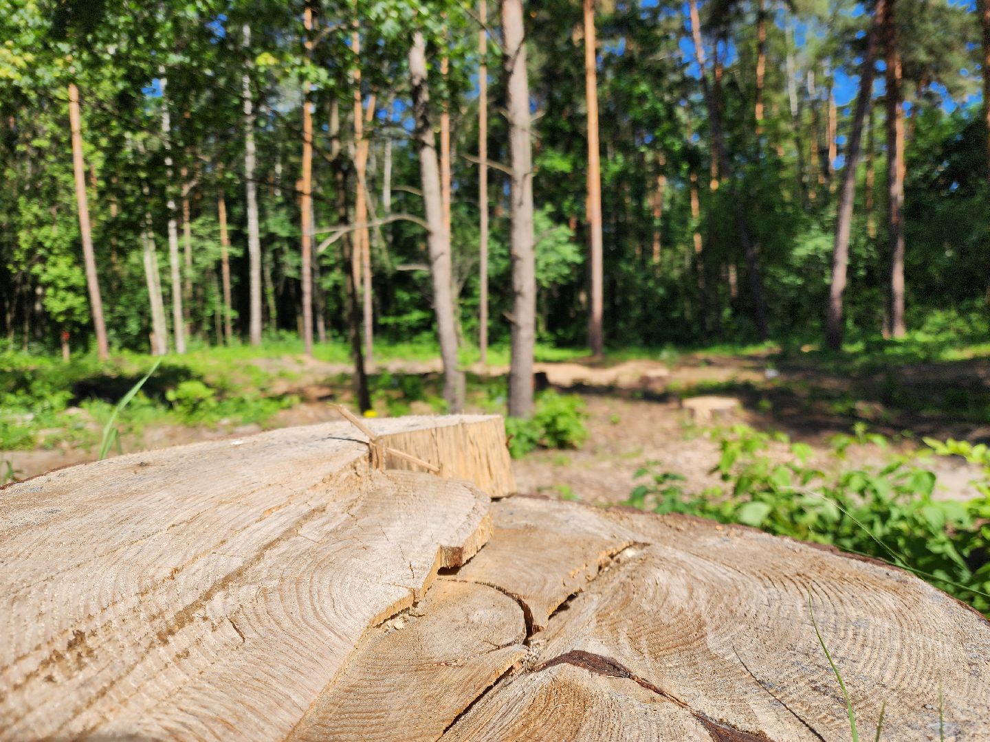 ногинск,  общество, строительство, храм, жители,