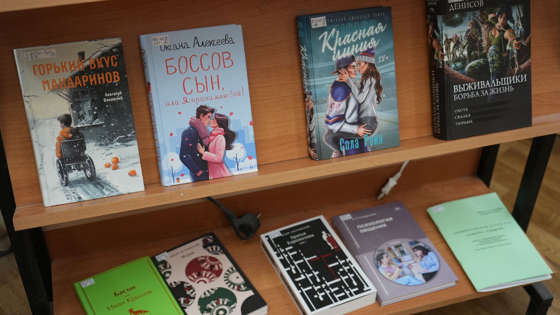 бибилотека, ремонт,