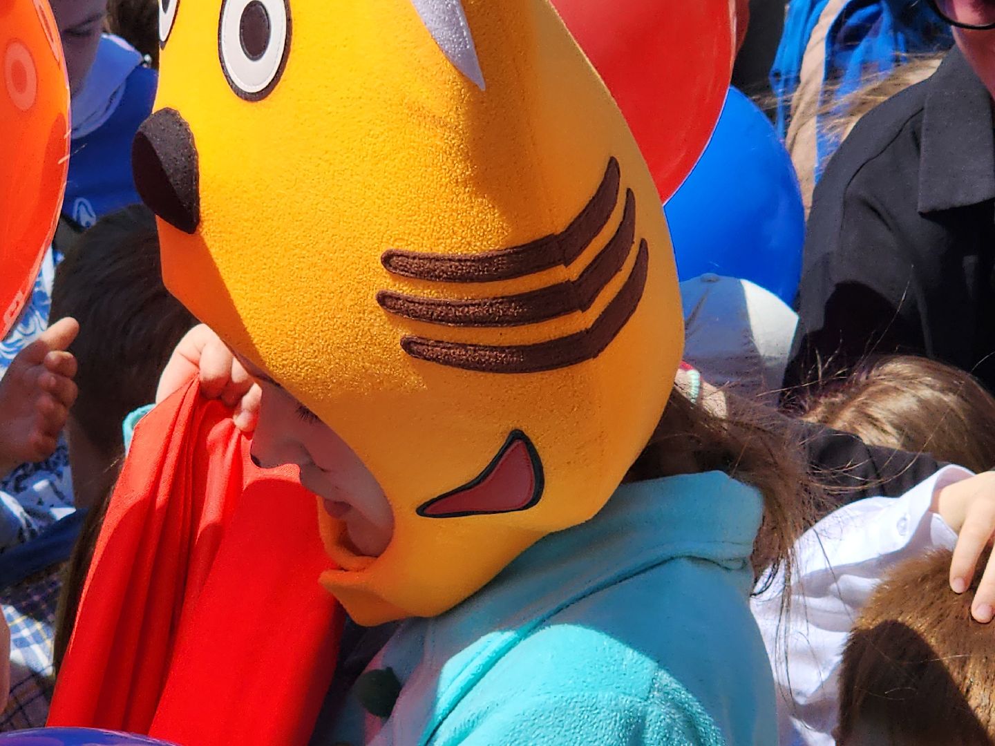 сергиево-посадский городской округ, сергиев посад, пересвет, дк космос, день защиты детей,