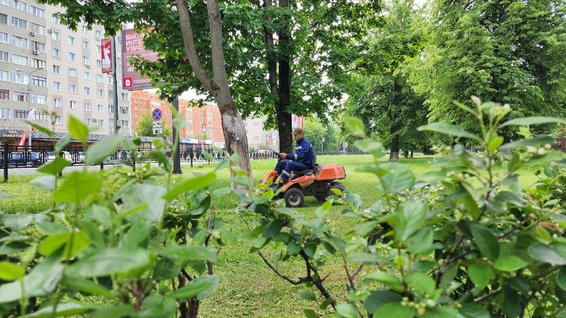 домодедово, подмосковье, жкх, покос территории, покос травы,