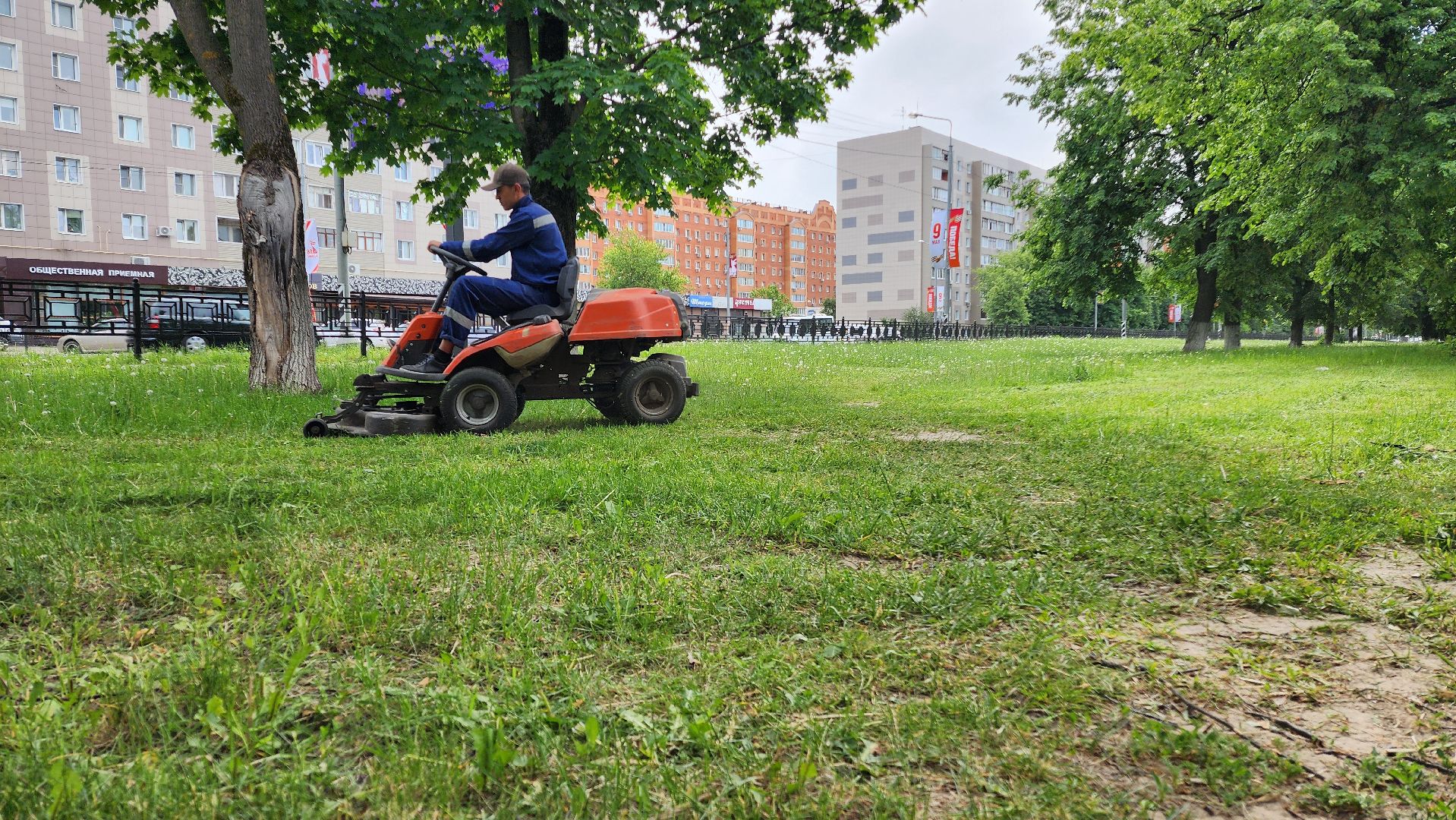 домодедово, подмосковье, жкх, покос территории, покос травы,