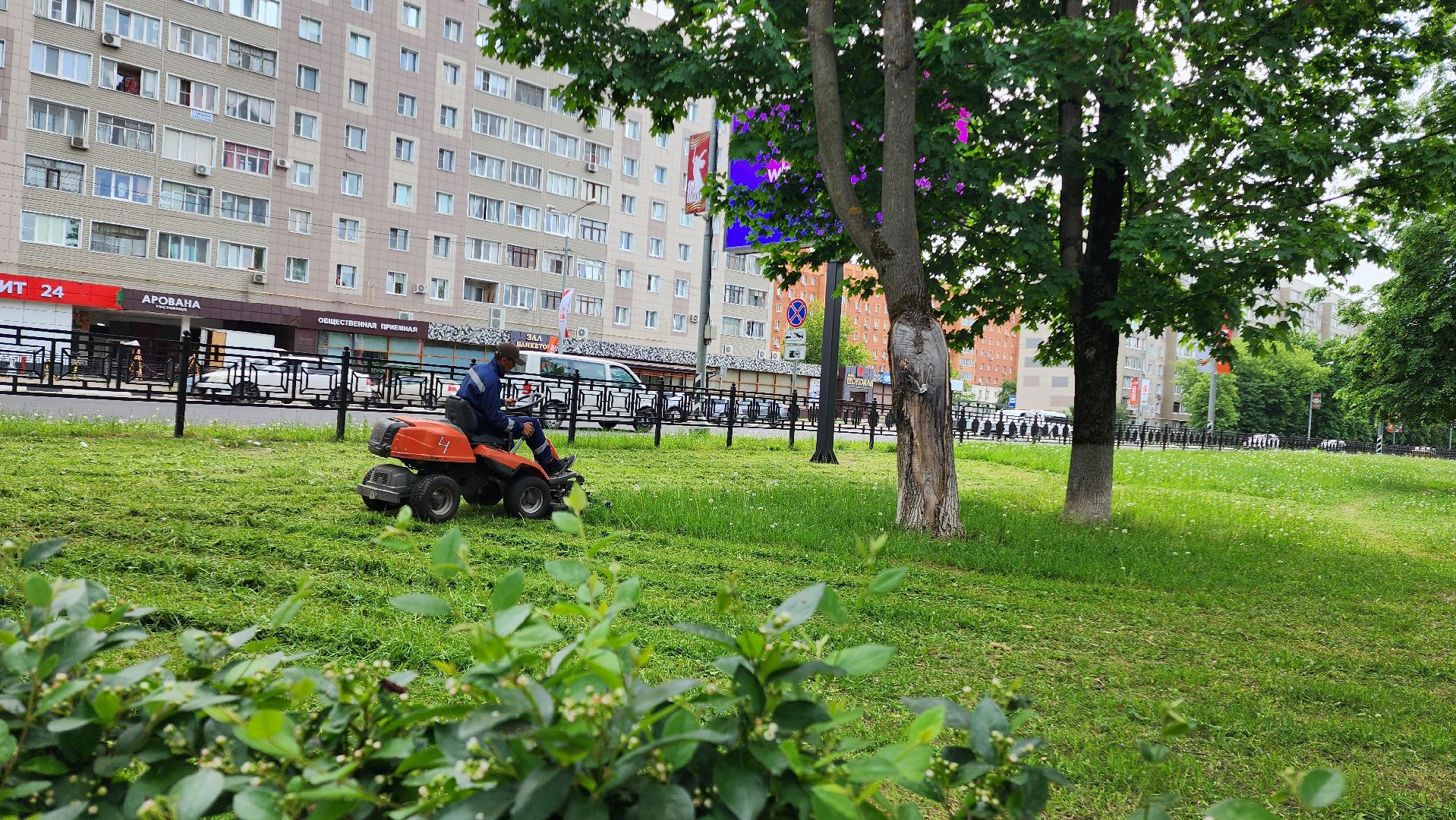 домодедово, подмосковье, жкх, покос территории, покос травы,