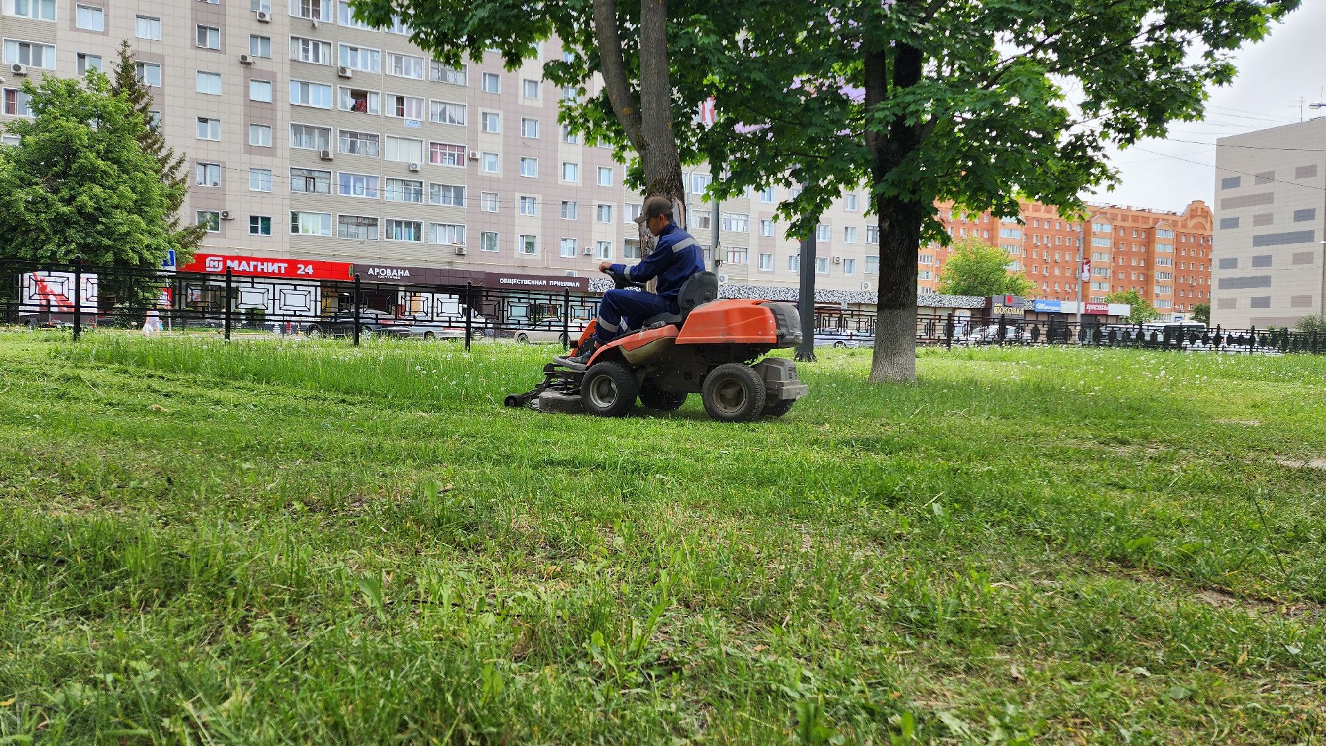 домодедово, подмосковье, жкх, покос территории, покос травы,