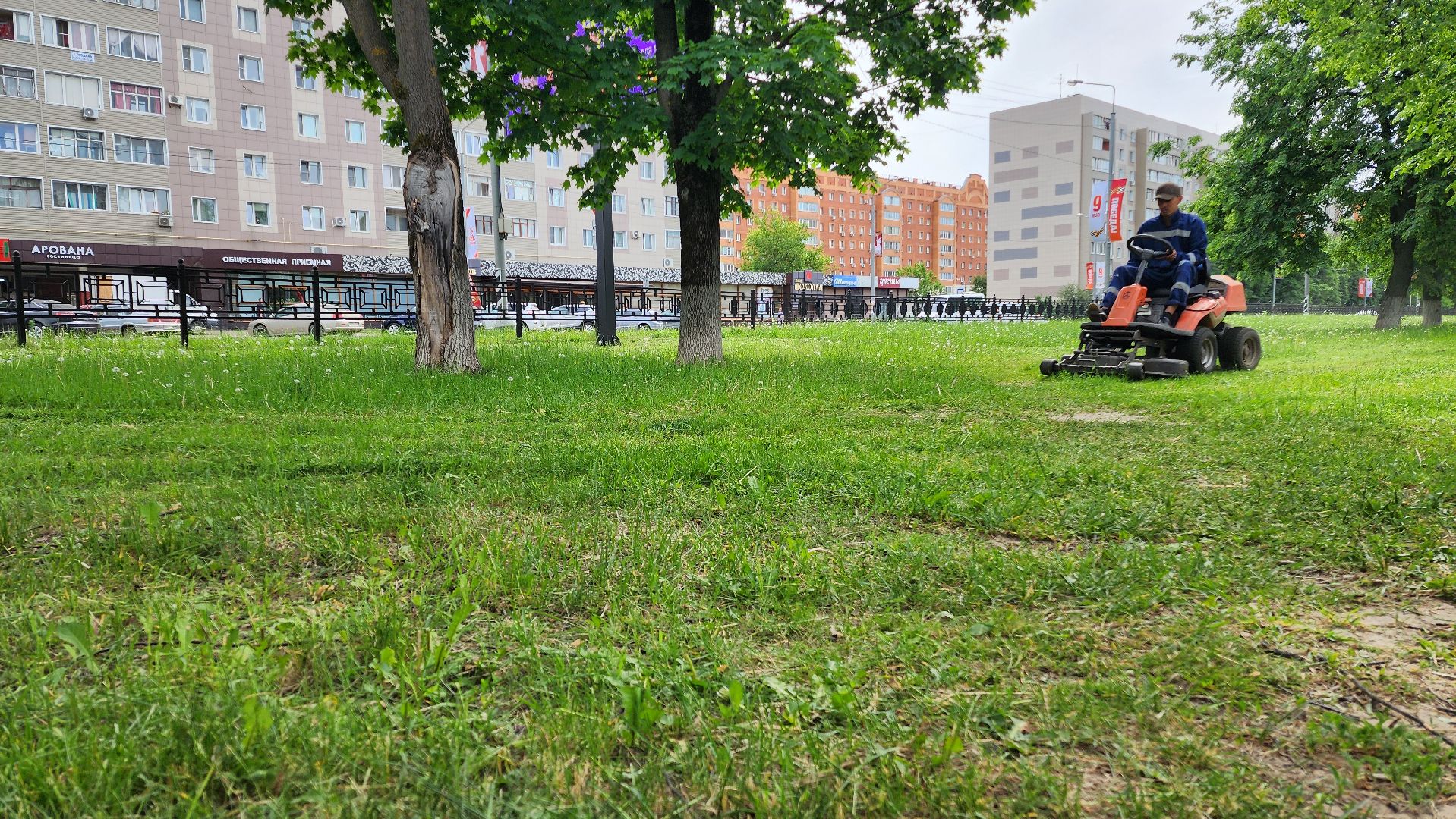 домодедово, подмосковье, жкх, покос территории, покос травы,