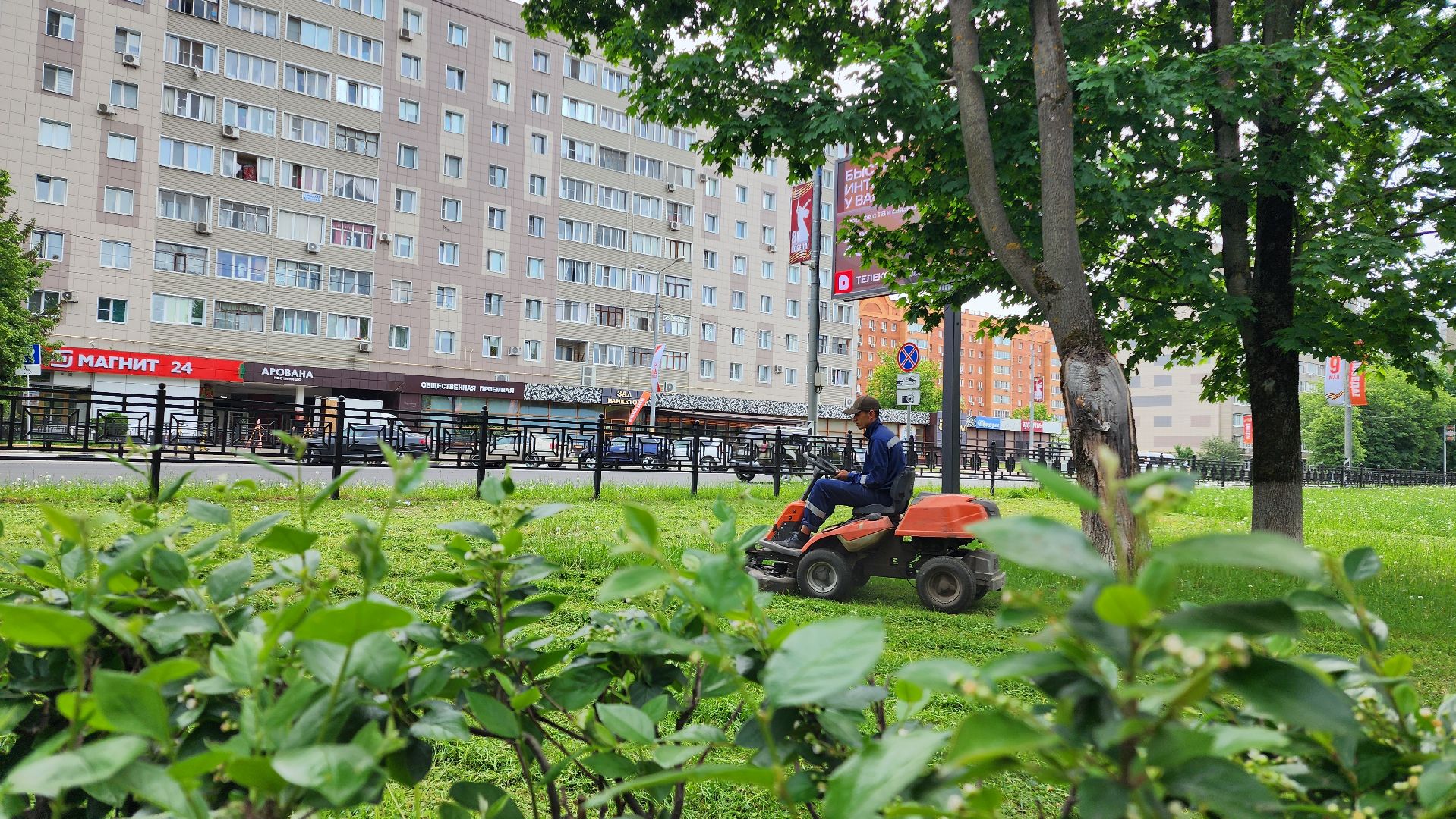 домодедово, подмосковье, жкх, покос территории, покос травы,