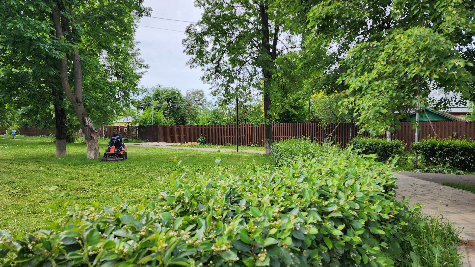 домодедово, подмосковье, жкх, покос территории, покос травы,