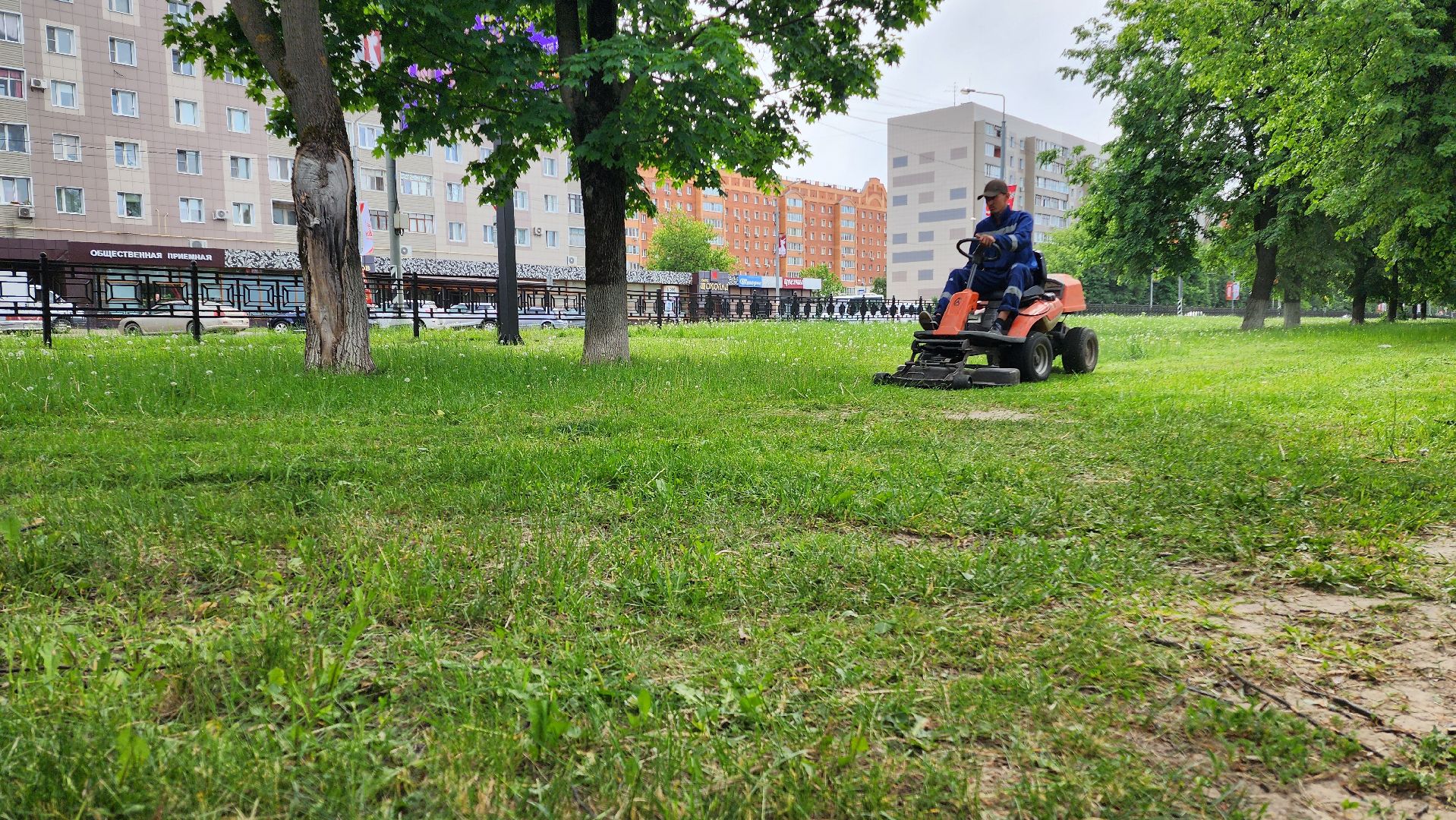 домодедово, подмосковье, жкх, покос территории, покос травы,
