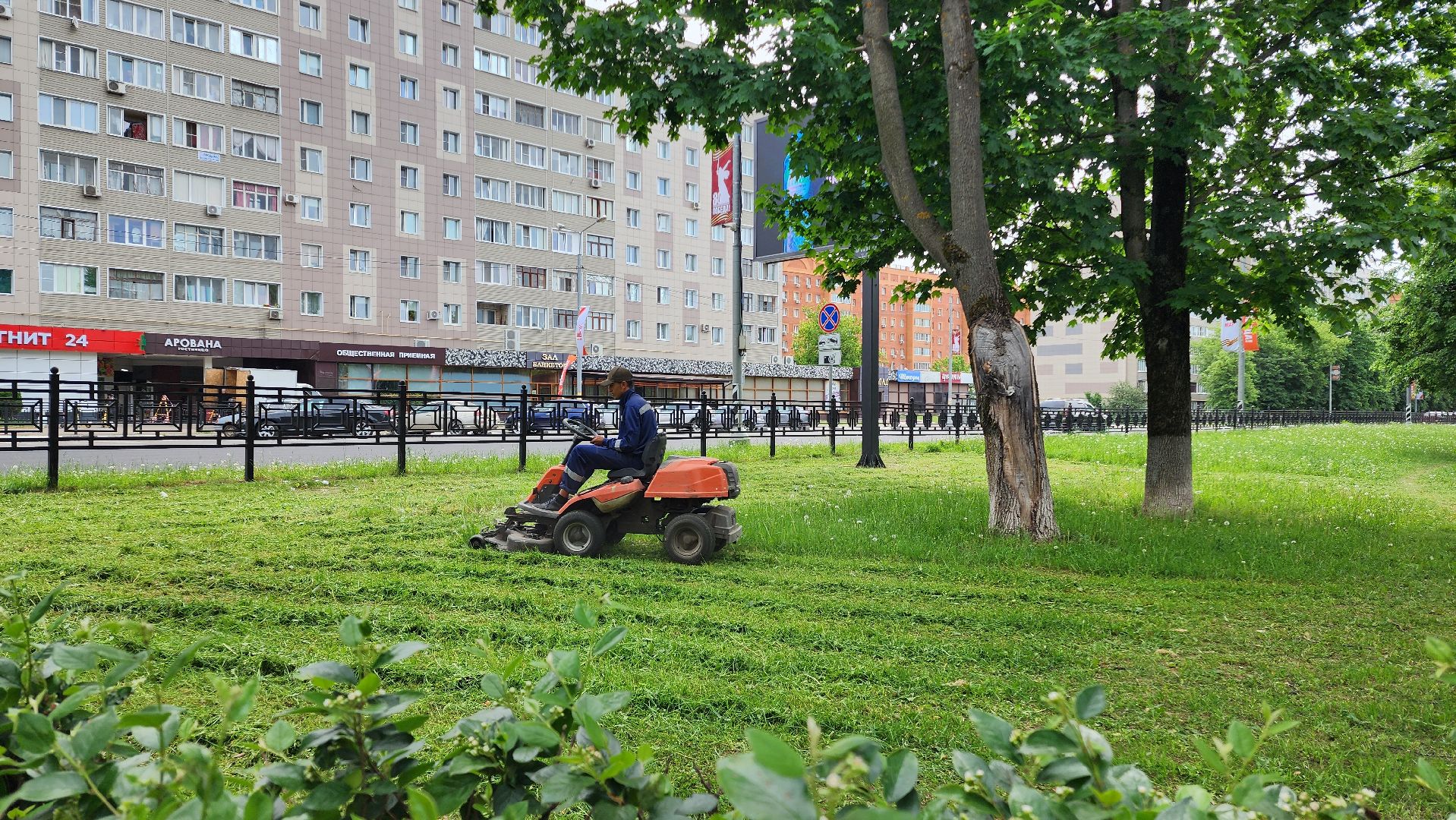 домодедово, подмосковье, жкх, покос территории, покос травы,